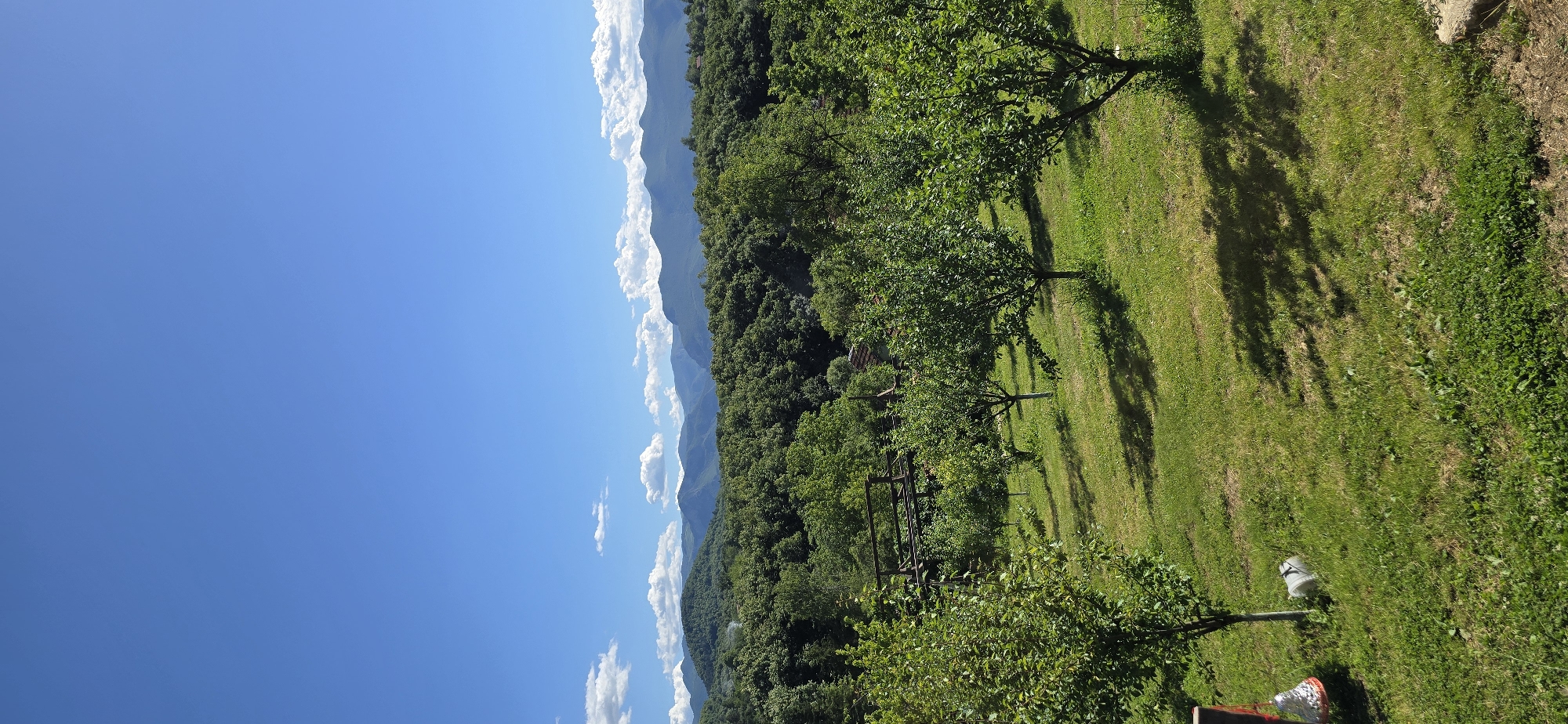 A bright, sunny day illuminates a verdant landscape that appears to be a rural property in or near Vratsa, Bulgaria. The foreground is dominated by a grassy lawn with scattered trees, likely an orchard, casting shadows across the ground. A few small trees, possibly fruit trees, are visible with their trunks painted white near the base. In the middle ground, a wooden structure, possibly a trellis or part of an old building, is partially obscured by more trees. Beyond that, a dense forest covers rolling hills, and in the far distance, a range of mountains stretches across the horizon under a clear blue sky dotted with a few white clouds. There are no people or animals visible in the image. The overall impression is one of natural beauty and tranquility.
