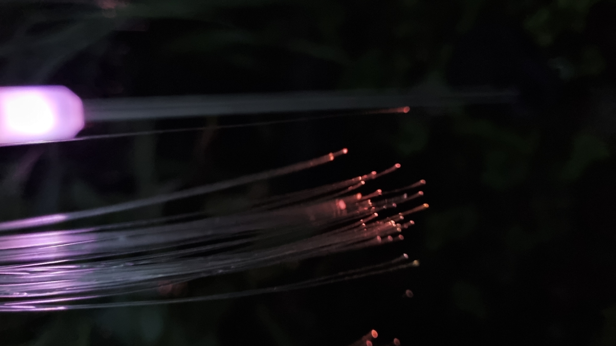 A low-angle, close-up, vertical shot shows a cluster of thin, translucent fiber optic strands in the foreground, with the tips glowing a soft orange. Above and to the right, a single fiber optic strand extends upwards, its tip emitting a brighter, pinkish-purple light from a small, hexagonal bulb. This strand is attached to a thin, silver pole that continues vertically out of frame. The background is dark and out of focus, suggesting a nighttime setting with lush, dark green foliage. The scene appears to be in an outdoor garden or park. There are no people visible in the image. The location is identified as Vysokoe, Russia.