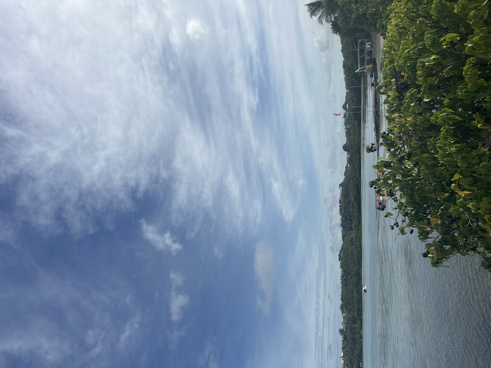 The image shows a body of water, possibly a bay or inlet, under a blue and white, partially cloudy sky. A line of trees and vegetation runs along the shore, obscuring any buildings. Some branches with dark berries are prominent in the foreground. In the distance, there appear to be boats on the water, as well as what may be a lifeguard station with a flag. The location may be in or around the city of Le Gosier, France, judging by the geographical features like the body of water and vegetation.