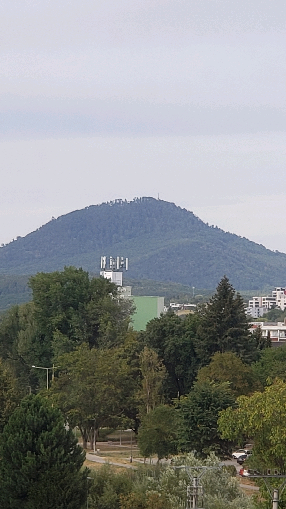 The image shows a panoramic view of the city of Prešov, Slovakia, with the dominant feature being the Zlatá Baňa hill in the background. The hill is covered in dense green forest, with a few sparse trees at its peak. A telecommunications tower with multiple antennas is visible in the middle ground, situated on a green-roofed building. In the foreground, a variety of trees are present, some with lush green foliage and others with more autumnal colors. Several residential buildings, characterized by their modern architecture and white facades, are scattered throughout the scene. A road with parked cars can be seen in the lower portion of the image, suggesting an urban or suburban environment. The sky is overcast, with a soft, diffused light that lends a muted tone to the overall scene. There are no people visible in the image.