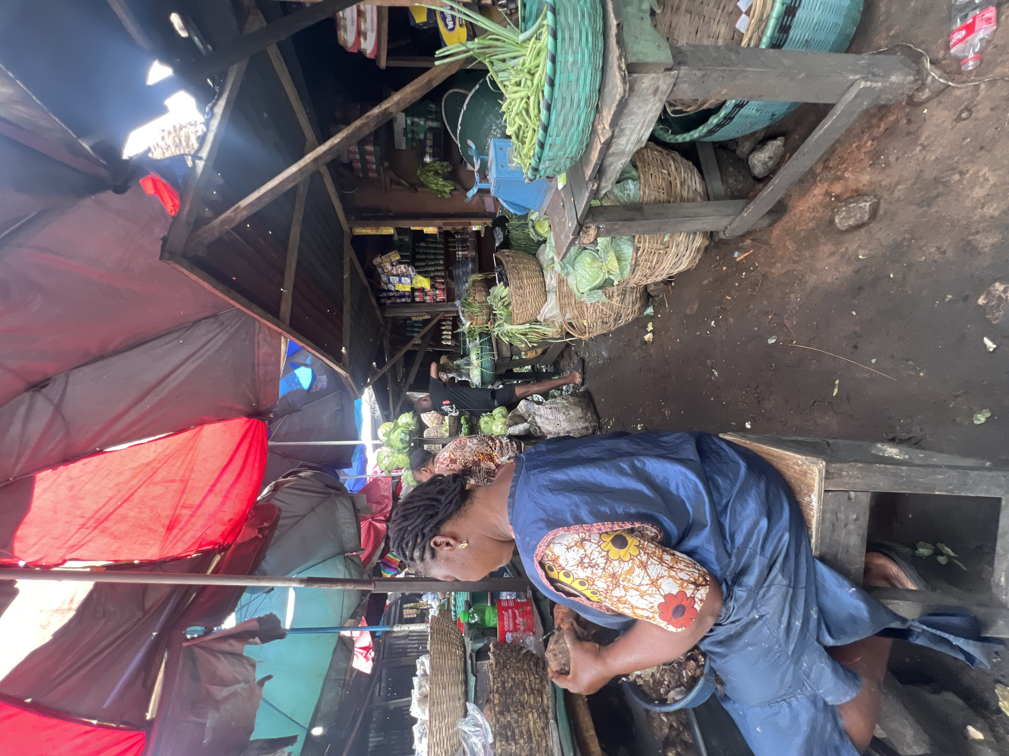 In an open-air market in Nkpor, Nigeria, a woman wearing a blue dress with a patterned sleeve sits on a wooden stool, peeling produce. The marketplace is sheltered by makeshift structures with coverings of red and other colored materials. Baskets of green beans and cabbages are stacked nearby. In the background, other individuals are visible amidst stocked shelves and produce. The ground is dirt and some refuse is present.