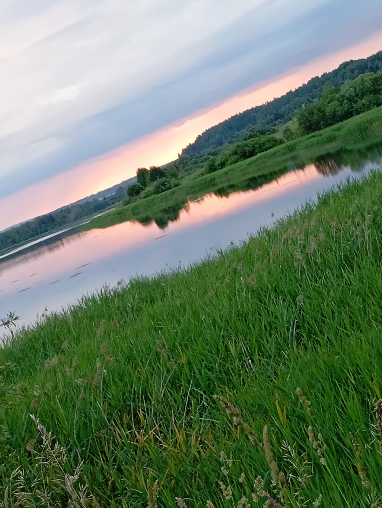 This is a photograph of a wide, calm river at sunset, taken from a grassy embankment. The sky is a blend of pale blue, grey, and soft pink, with the sun just below the horizon casting a warm glow. The water reflects the colors of the sky and the lush green treeline on the opposite bank, which is densely forested and curves gently along the water's edge. In the foreground, tall, green grass and reeds dominate, with some dried stalks interspersed. The scene is serene and natural, typical of the rural landscape around Рябки, Russia. There are no people or man-made structures visible in the frame. The image is tilted, giving a dynamic angle to the otherwise still scene.