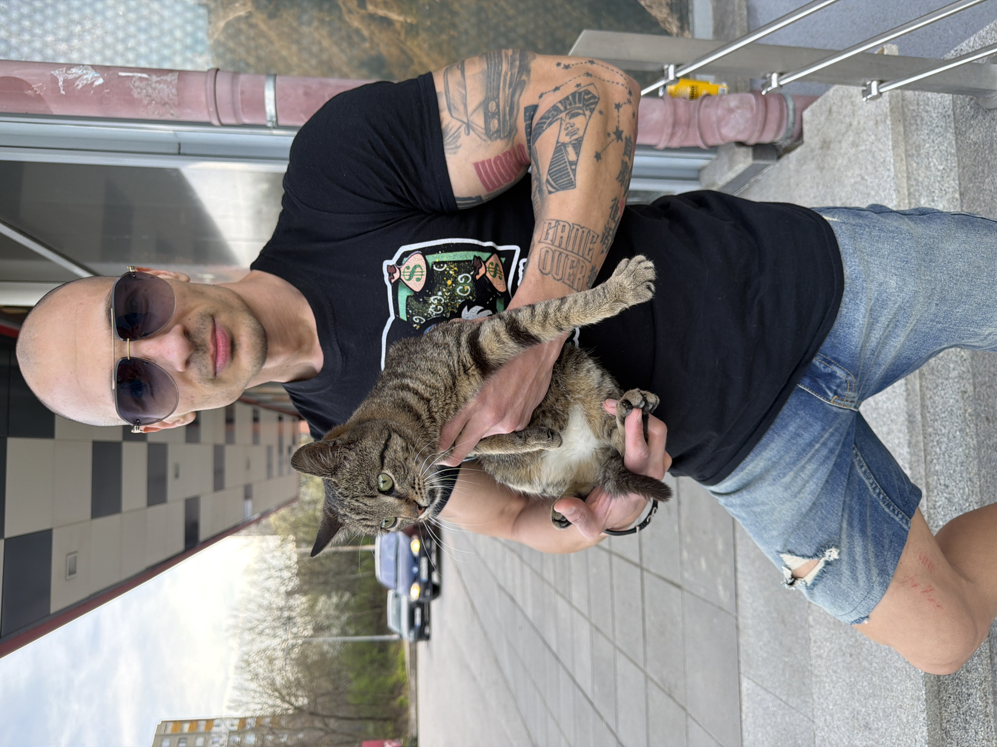 A man with a shaved head and sunglasses is holding a tabby cat in his arms. He is wearing a black t-shirt with a graphic print and ripped denim shorts. The man has tattoos on his arms. He is standing on a sidewalk next to a building with a red stripe and a window reflecting a cityscape. In the background, cars are parked on a road. The location is in Pleven, Bulgaria.