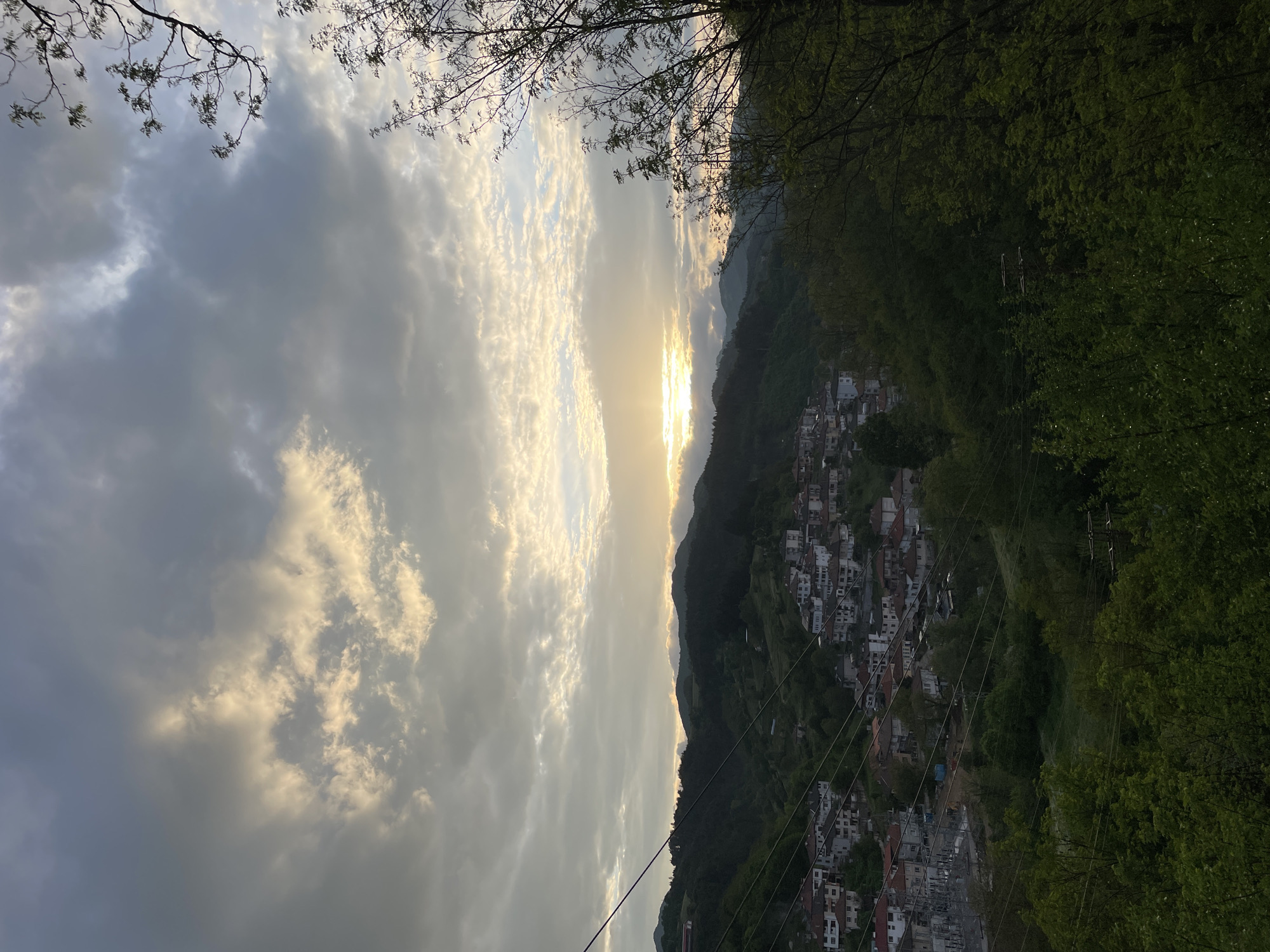 Captured from an elevated perspective, the image depicts a cityscape in Zlatograd, Bulgaria, set against a dramatic sky at sunset. The sky is filled with cumulonimbus clouds, their underbellies dark and grey, while the setting sun casts a golden glow through breaks in the cloud cover. The city is nestled on a hillside, with structures cascading down the slope and interspersed with verdant trees. Power lines crisscross the foreground, adding a modern element to the scene. Foliage from nearby trees frames the top of the image, providing a natural border.