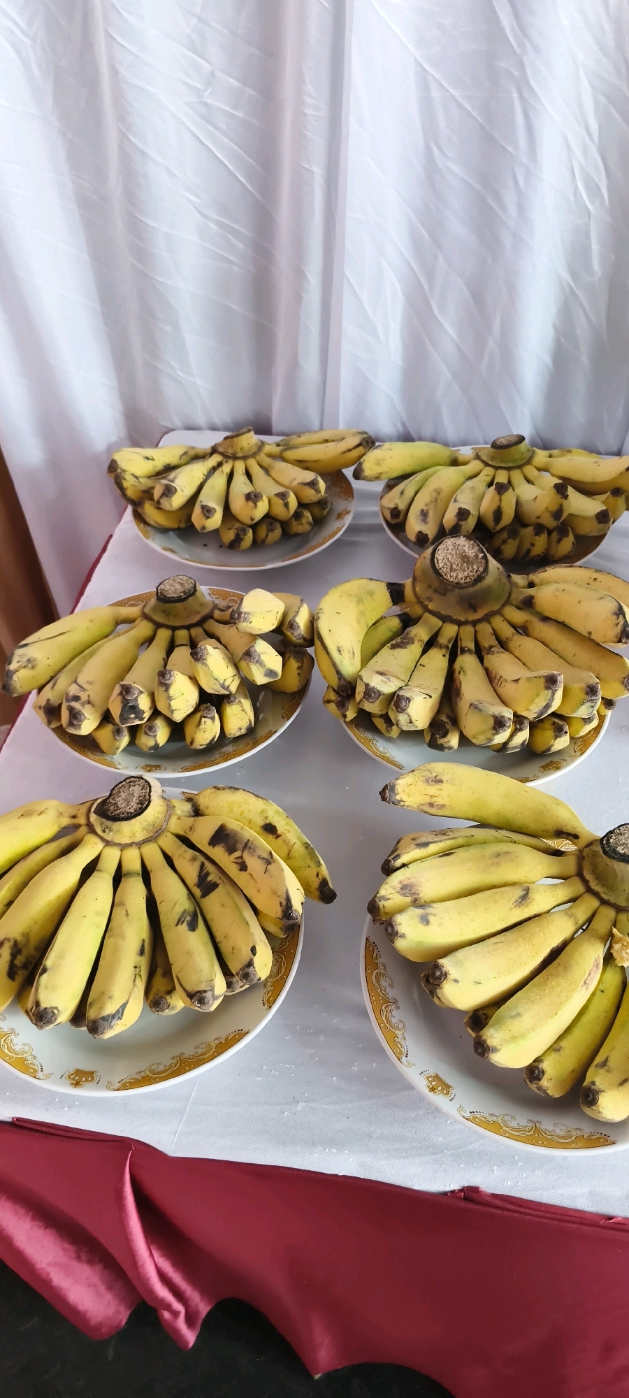 The image shows a table covered with a white tablecloth, upon which are several plates of bananas. There are six plates of bananas visible in the image, arranged in two rows. The top row has three plates, and the bottom row also has three plates. The bananas are yellow with some brown spots, indicating ripeness. The plates are white with a decorative gold rim. In the background, a white curtain hangs, suggesting an indoor setting. The table also has a dark red cloth draped over the edge in the foreground. The overall scene appears to be a still life arrangement of fruit. The context of South Tangerang, Indonesia is not evident from the visual information in the image itself.