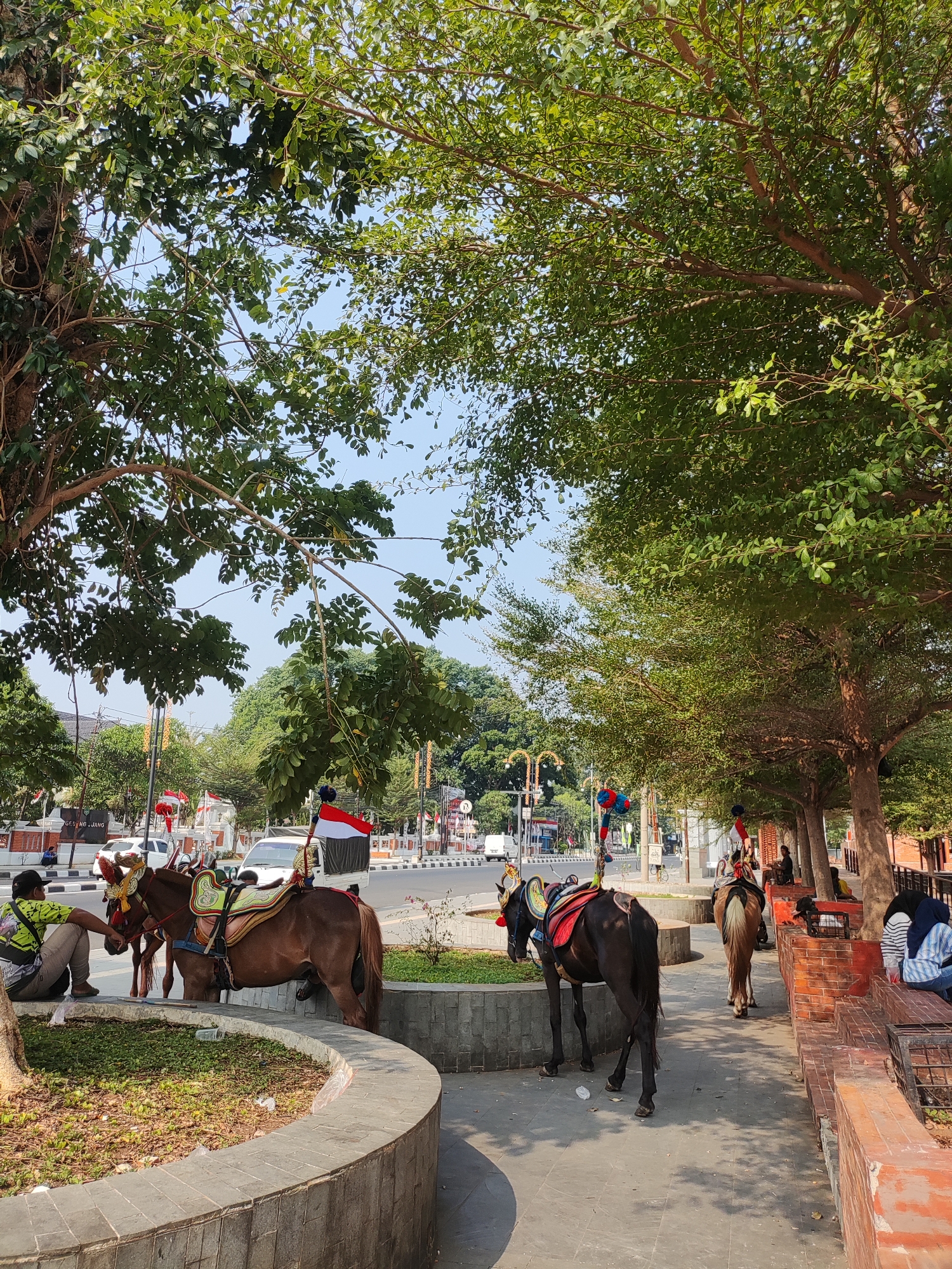 The image depicts an outdoor scene in Majalengka, Indonesia, likely a public area such as a park or plaza. Dominating the foreground are two horses, saddled and adorned with colorful decorations, suggesting they are available for rides or are part of an event. One horse, a chestnut color, is positioned to the left, and a man in a lime-green shirt and grey pants is seated near its head, appearing to be tending to it or resting. The second horse, a darker brown, stands further back on the right side of the paved walkway.
Behind the horses, a street with moderate traffic is visible, indicating an urban setting. Several individuals are seated on brick structures along the right side of the walkway, some engaged in conversation, others observing the surroundings. A red and white flag, likely the Indonesian flag, is prominently displayed on a pole in the middle ground, along with other decorative elements that suggest a festive atmosphere or a national celebration.
The environment is characterized by lush green trees providing shade, a clear blue sky, and well-maintained paving stones and brickwork. The presence of the horses, the flags, and the general ambiance suggest a place where leisure activities and local culture converge. The image captures a moment of everyday life in this Indonesian city, with elements of tradition and recreation evident.