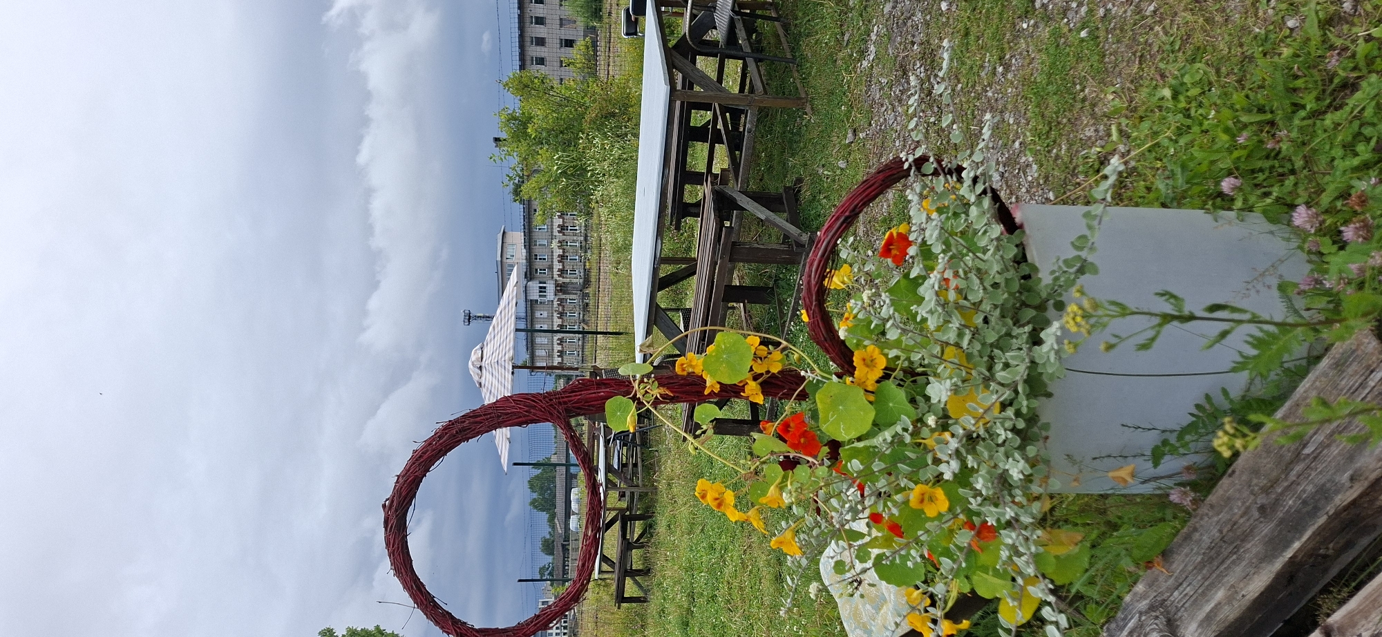 The image depicts an outdoor seating area with wooden picnic tables and benches set up on a grassy area. In the foreground, a planter overflows with green foliage and small red and yellow flowers. A large, woven red circular structure stands behind the planter, and a smaller red woven circle is visible on the right side. In the background, an outdoor umbrella shades a table, and beyond that, a row of buildings with multiple windows is visible. A fence runs between the seating area and the buildings. The sky is overcast and gray. The scene appears to be in a somewhat industrial or open area, possibly a park or a recreational space within an urban setting. The location is confirmed to be Tallinn, Estonia.