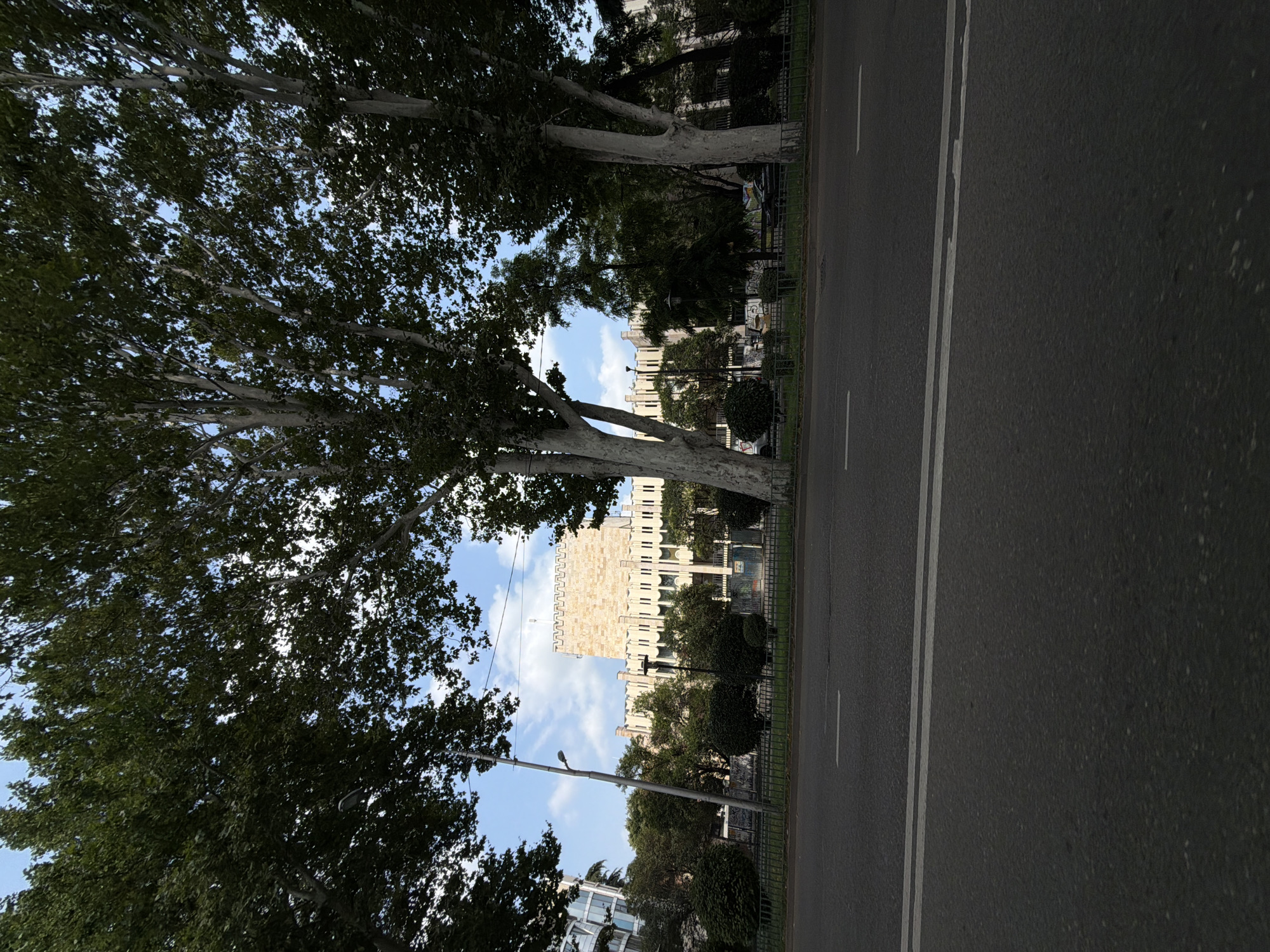 The image shows a view of the Parliament of Georgia building in Tbilisi. The building, constructed with light-colored stone, has a crenellated top and rows of tall, narrow windows. It is situated behind a green lawn and a metal fence. Large trees with pale trunks and dark green leaves dominate the foreground, obscuring much of the sky and framing the view of the building. A street with asphalt pavement and white lane markings is visible in the lower portion of the image, suggesting the perspective is from a road or sidewalk. The sky is partly cloudy with a bright blue background. The overall scene depicts an urban environment with significant architectural and natural elements.