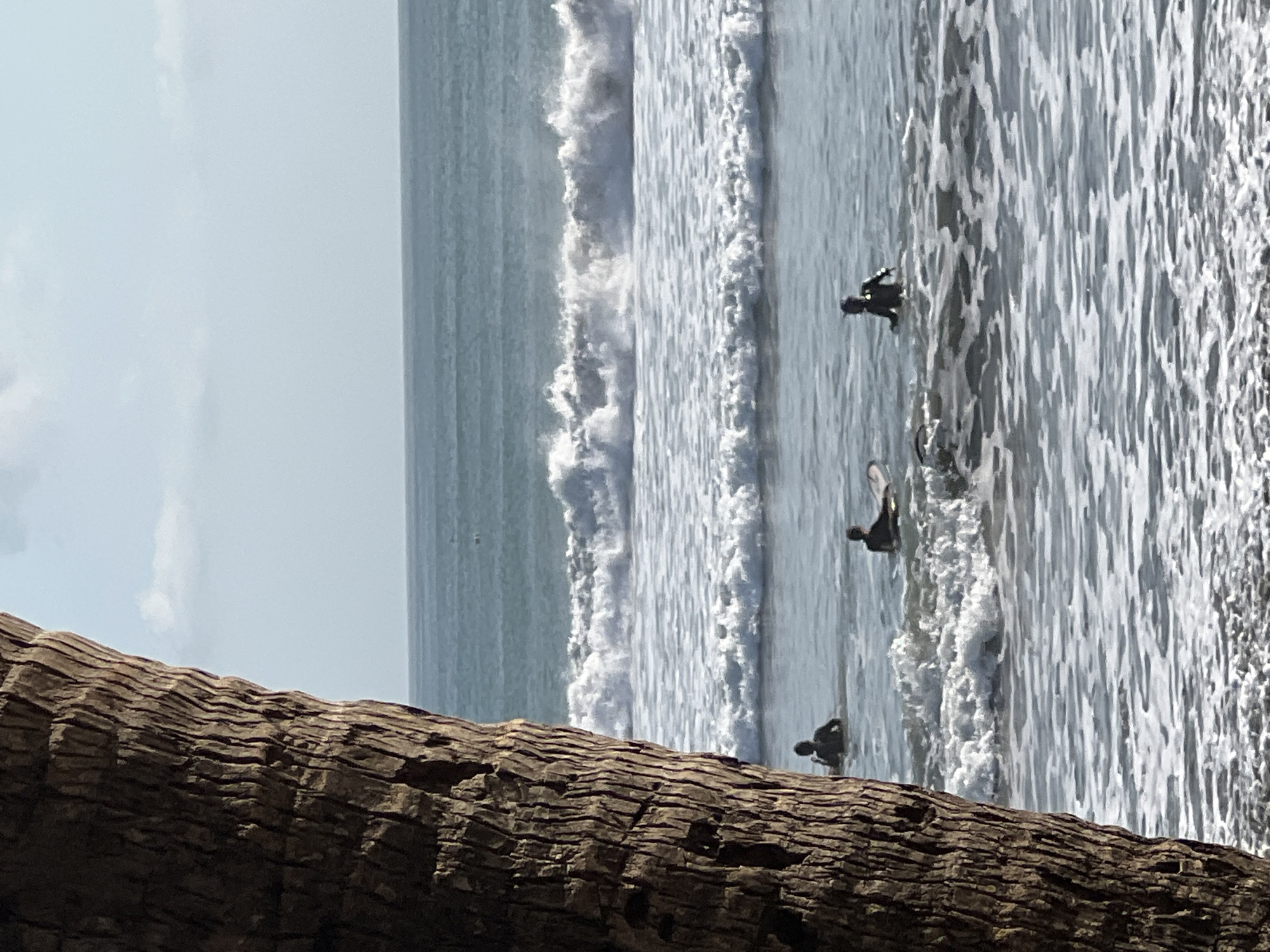 The image captures a coastal scene in Kuta, Indonesia. In the foreground, the rough, textured bark of a palm tree trunk occupies the left side of the frame, obscuring a portion of the view. Beyond the tree, the ocean stretches to the horizon, with a clear sky above. Several individuals are visible in the water, appearing to be surfers. One surfer is positioned further out, and three others are closer to the shore, with two of them on surfboards. The waves are breaking, creating white foam and ripples on the surface of the water. The overall impression is a tranquil moment at a popular surfing destination.