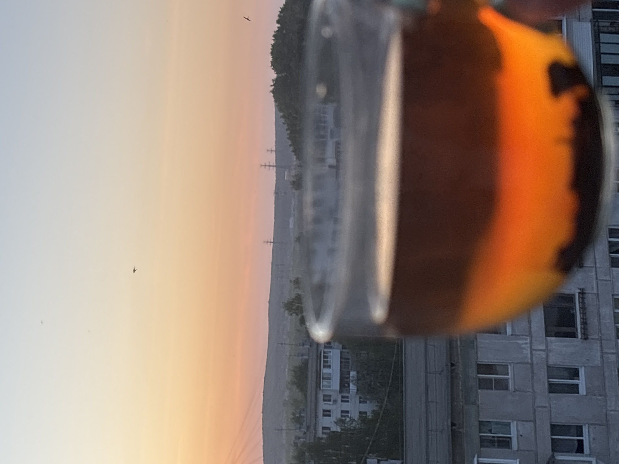 The image, taken in a vertical format, presents a view of what appears to be a sunset sky over the city of Chaikovsky, Russia, as observed through a glass container. The sky exhibits a gradient of color from a light yellowish-white near the horizon, transitioning to an orange-pink hue further up. There are faint objects, possibly birds, visible in the sky.
In the mid-ground, a horizon line is apparent, behind which lies a lower-rise landscape consisting of trees and buildings. Further into the background are utility poles and distant hills.
In the foreground, a glass container obscures a portion of the scene. The container is filled with a liquid that is dark brown on one side, transitioning to a more opaque orange color on the other. A large, gray building with multiple rows of windows is also visible behind the glass container. The photograph may be taken from the photographer's residence.