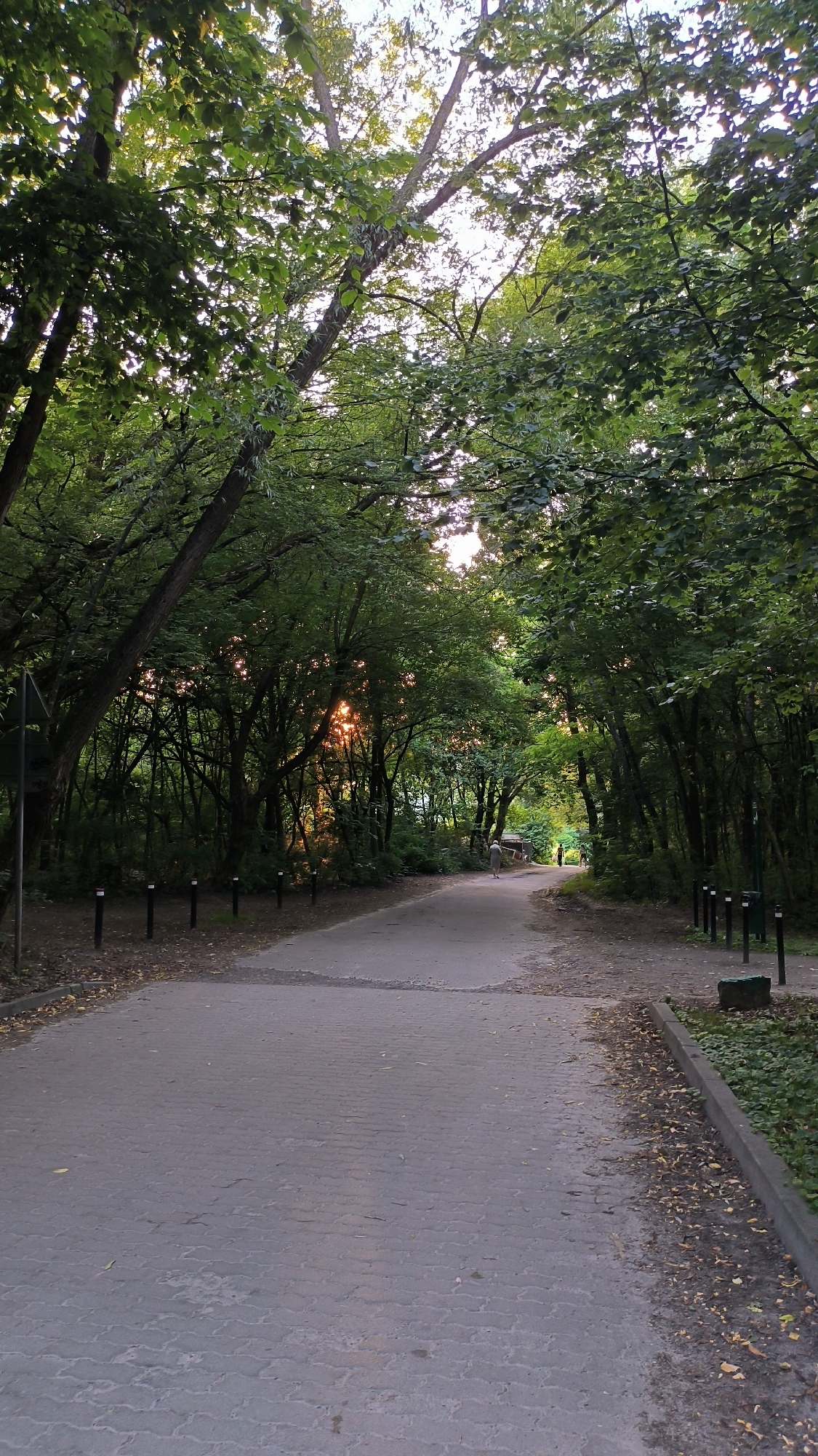 The image depicts a paved pathway in a park-like setting, flanked by dense trees with lush green foliage. The pathway is constructed of interlocking grey pavers and is bordered by a concrete curb on the right. The path leads into the distance, where the tree canopy creates a tunnel effect. Sunlight filters through the leaves, casting a warm glow and creating dappled light on the path. The setting appears to be a wooded area within a city, possibly Lviv, Ukraine, given the context. There are streetlights positioned along the left side of the path. In the distance, a solitary individual is walking away from the camera, and further ahead, another person is visible. The ground near the path has some fallen leaves scattered on it. The overall impression is of a tranquil, natural pathway within an urban environment.