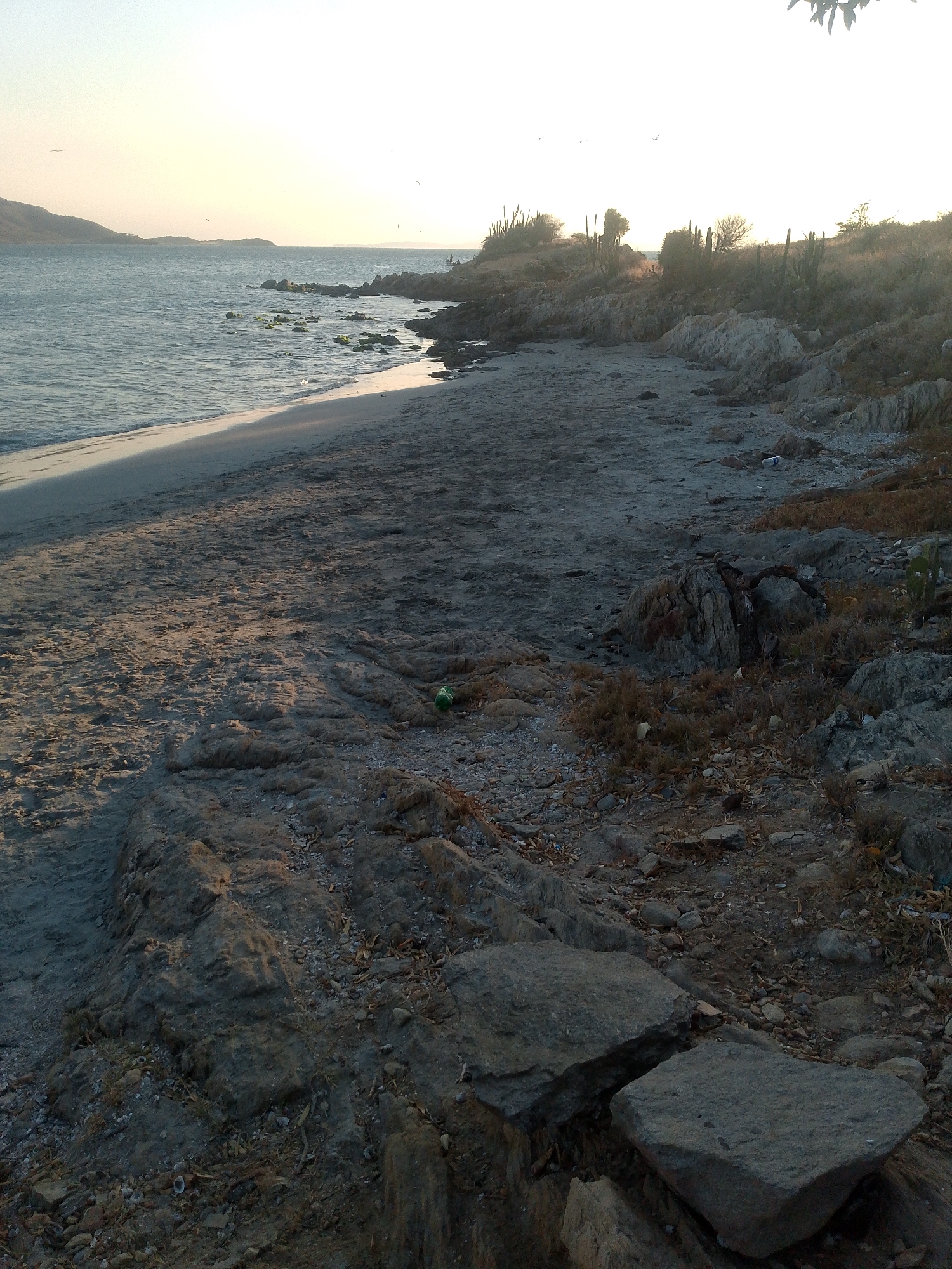 The image depicts a beach scene in Juan Griego, Venezuela. The foreground consists of rocky terrain transitioning into a sandy beach. The tide is low. A green bottle sits on the sand near a rock. The vegetation is sparse and includes cacti. In the background, the ocean stretches out to the horizon, with a landmass visible in the distance. The sky is light, possibly indicating sunrise or sunset. There are a few people standing on the beach in the distance.
