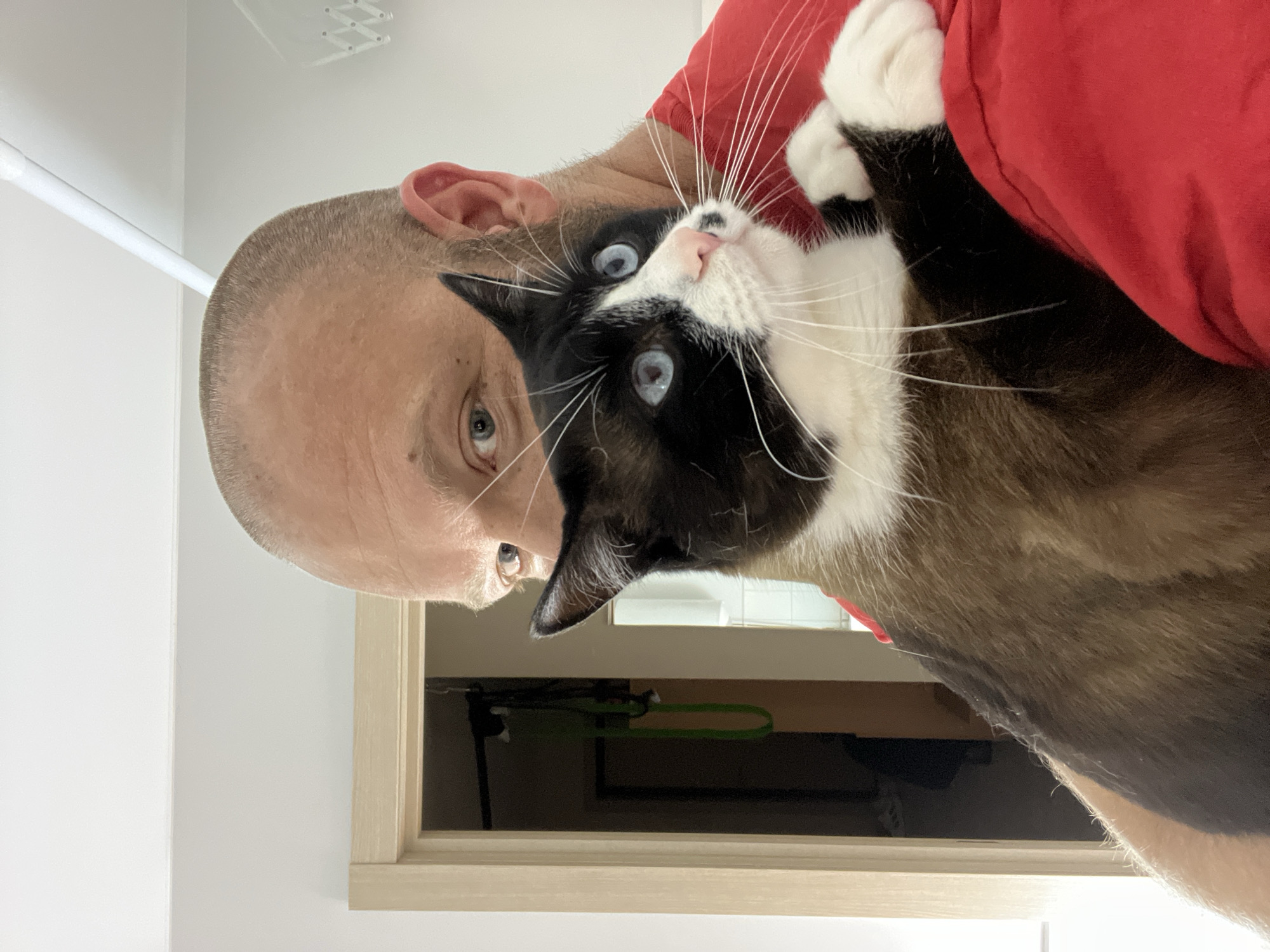 A bald man wearing a red t-shirt is holding a black and white cat with bright blue eyes. The man's face is partially obscured by the cat, but his left eye is visible, looking to the left. The cat is looking to the right, with its ears pointed up and its white paws resting on the man's shoulder. The background shows a doorway leading into a dark room, with some objects hanging on the wall. The setting appears to be indoors, possibly a home. There is no indication of the city of Noviy, Russia in the image.