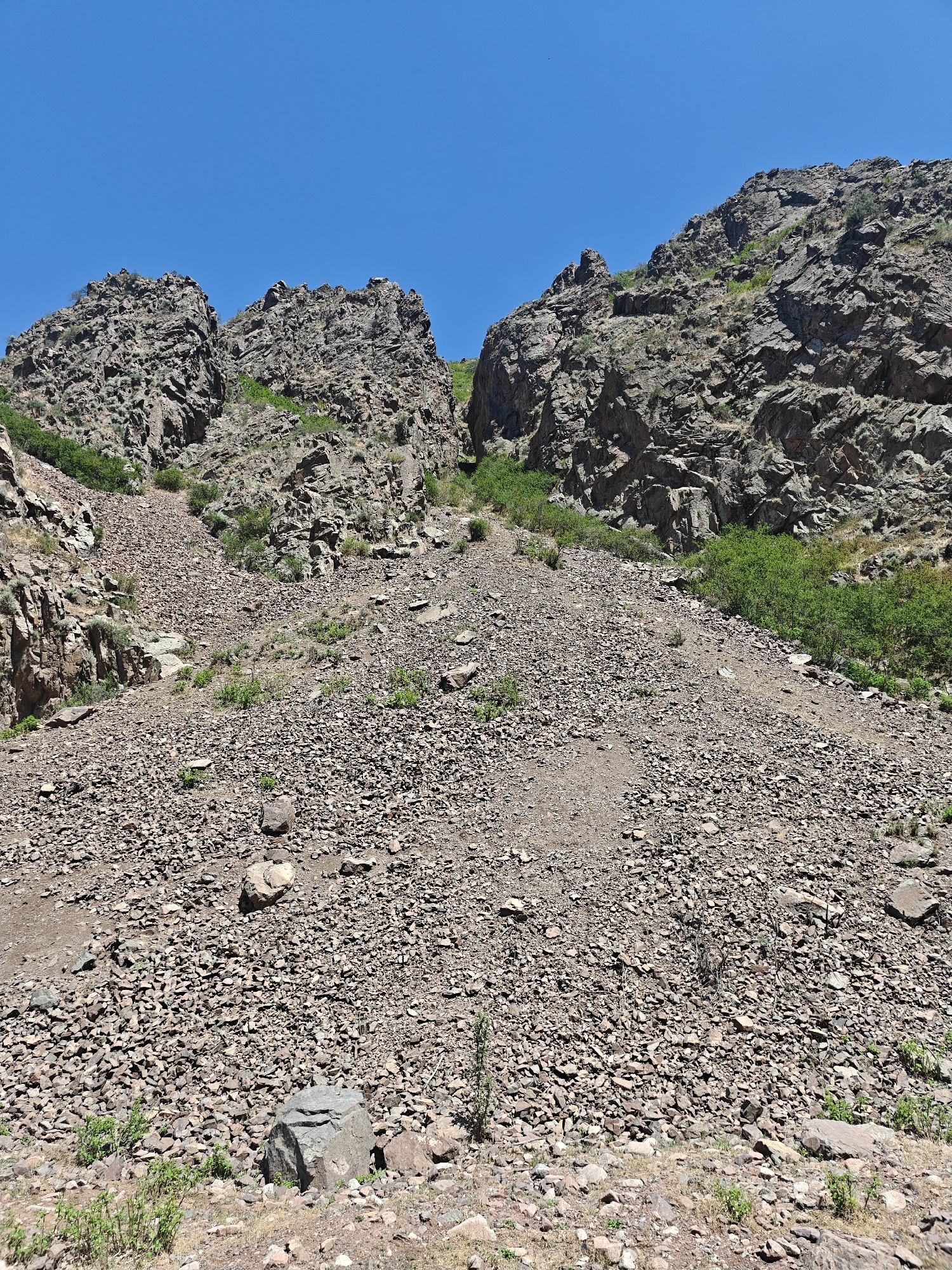 The image depicts a steep, rocky hillside under a clear blue sky. The terrain is covered in loose stones and gravel, with sparse vegetation in patches. Two prominent rock formations rise on either side of a central gully, their surfaces rough and textured. Green bushes and small trees are scattered throughout the scene, particularly along the lower slopes and within the gully. The overall impression is one of a rugged, natural landscape.