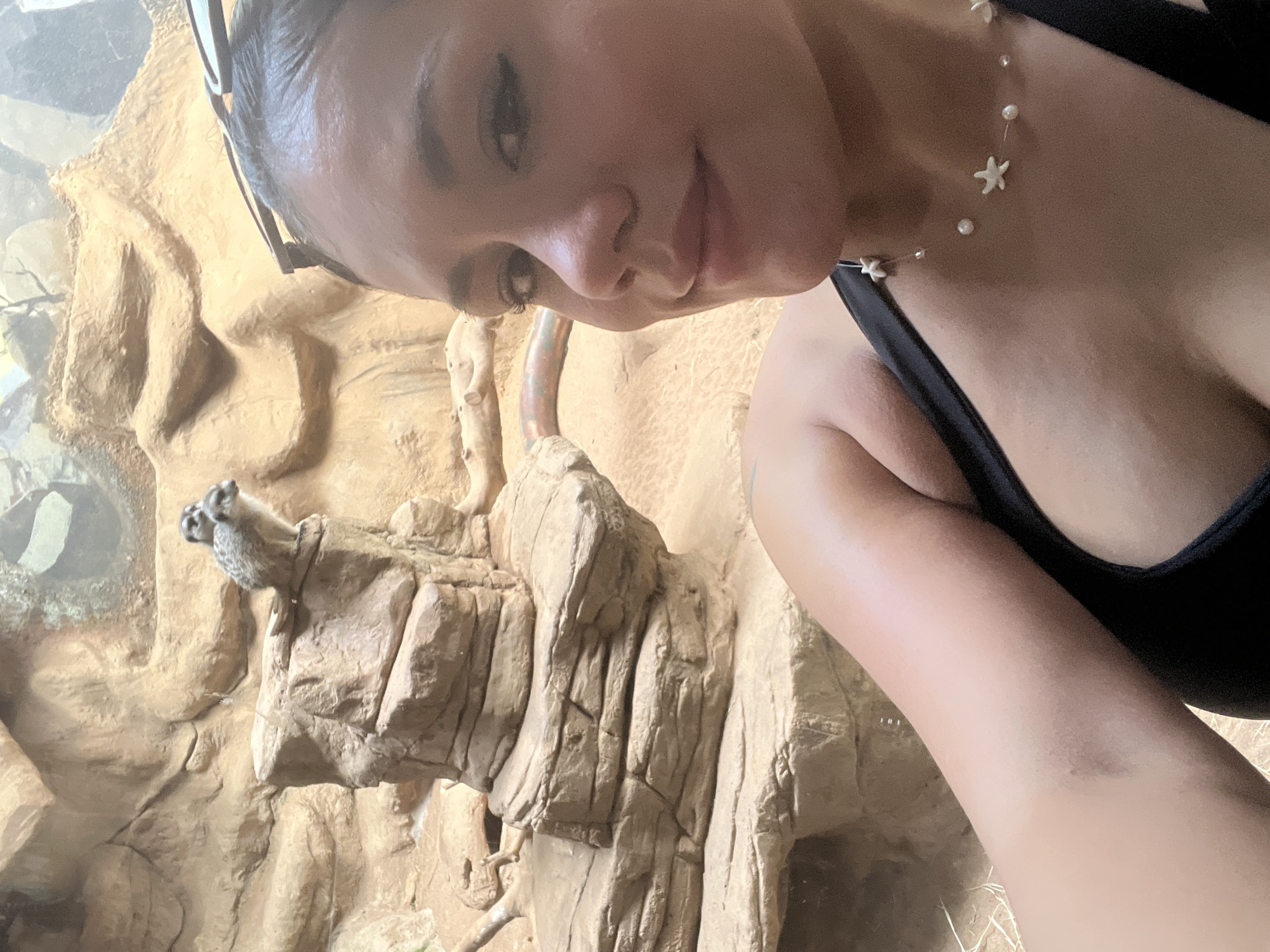 A selfie of a woman with dark hair and sunglasses atop her head, wearing a black tank top and a necklace with white starfish and pearls. The background is a faux-rock environment with what appears to be a pair of meerkats perched atop the rocks. The location is Unknown, Unknown.
