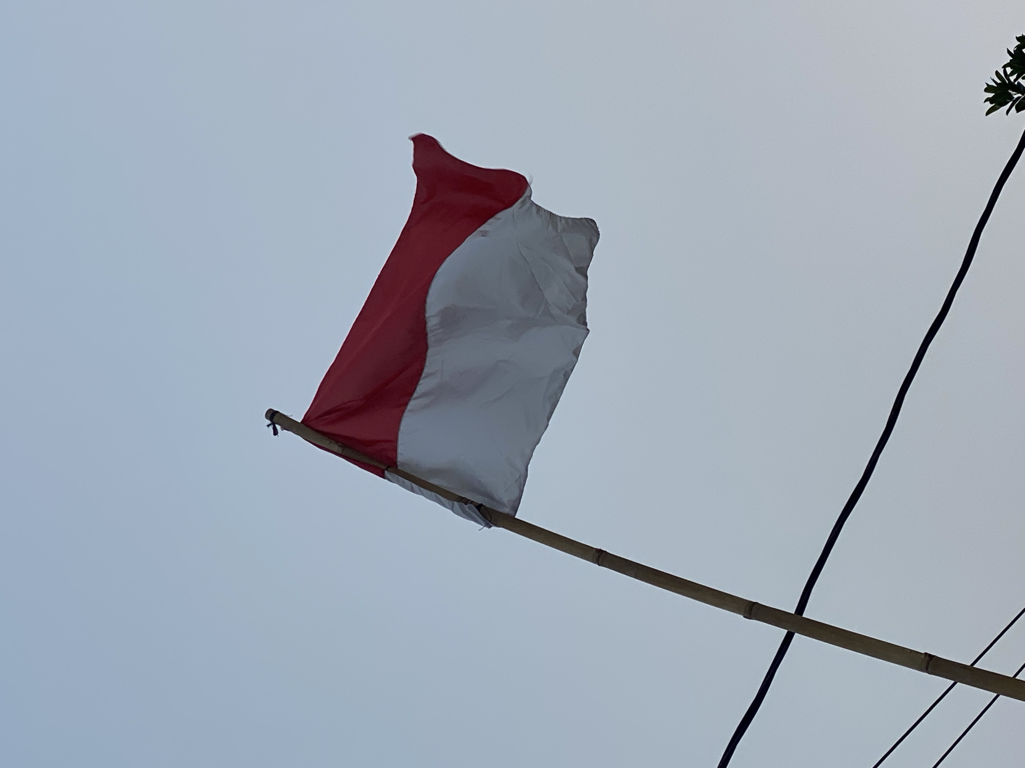 The image shows the Indonesian flag, a horizontal bicolor of red above white, fluttering against a pale blue sky. The flag is attached to a bamboo pole. The lower portion of the image features a tangle of dark electrical wires, one of which crosses diagonally in front of the pole. The flag is positioned to the right of the pole, with the red band at the top and the white band below. The sky is clear and uniformly lit, suggesting it is either early morning or late afternoon. The scene appears to be outdoors, possibly in a residential area, given the presence of electrical wires. The specific location in Kasihan, Indonesia, is inferred from the presence of the Indonesian flag, which is the national flag of Indonesia. There are no people or animals visible in the frame. The overall impression is one of a simple, everyday scene, elevated by the symbolic presence of the national flag.