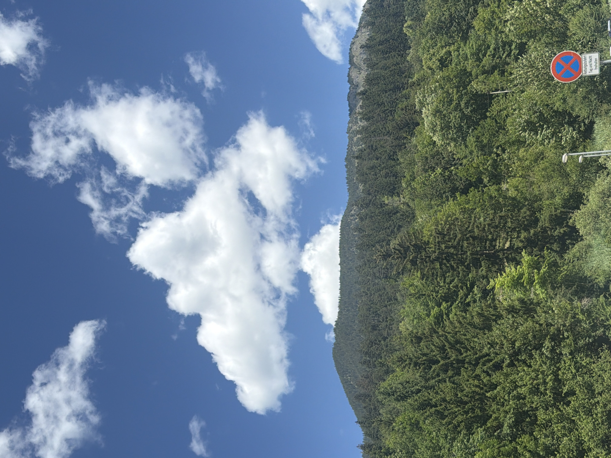 The image depicts a lush, green mountain forest under a clear blue sky with scattered white clouds. The mountain is densely covered with coniferous trees, with a rocky ridge visible at the very top. In the foreground, more trees and vegetation are present, and to the right, there is a street light and a circular red and blue sign with a red 'X' symbol, indicating "no stopping" at any time. The sign also has German text that translates to "Rescue lane, Day and Night, Keep clear." The scene appears to be a scenic natural landscape, likely in a mountainous region.