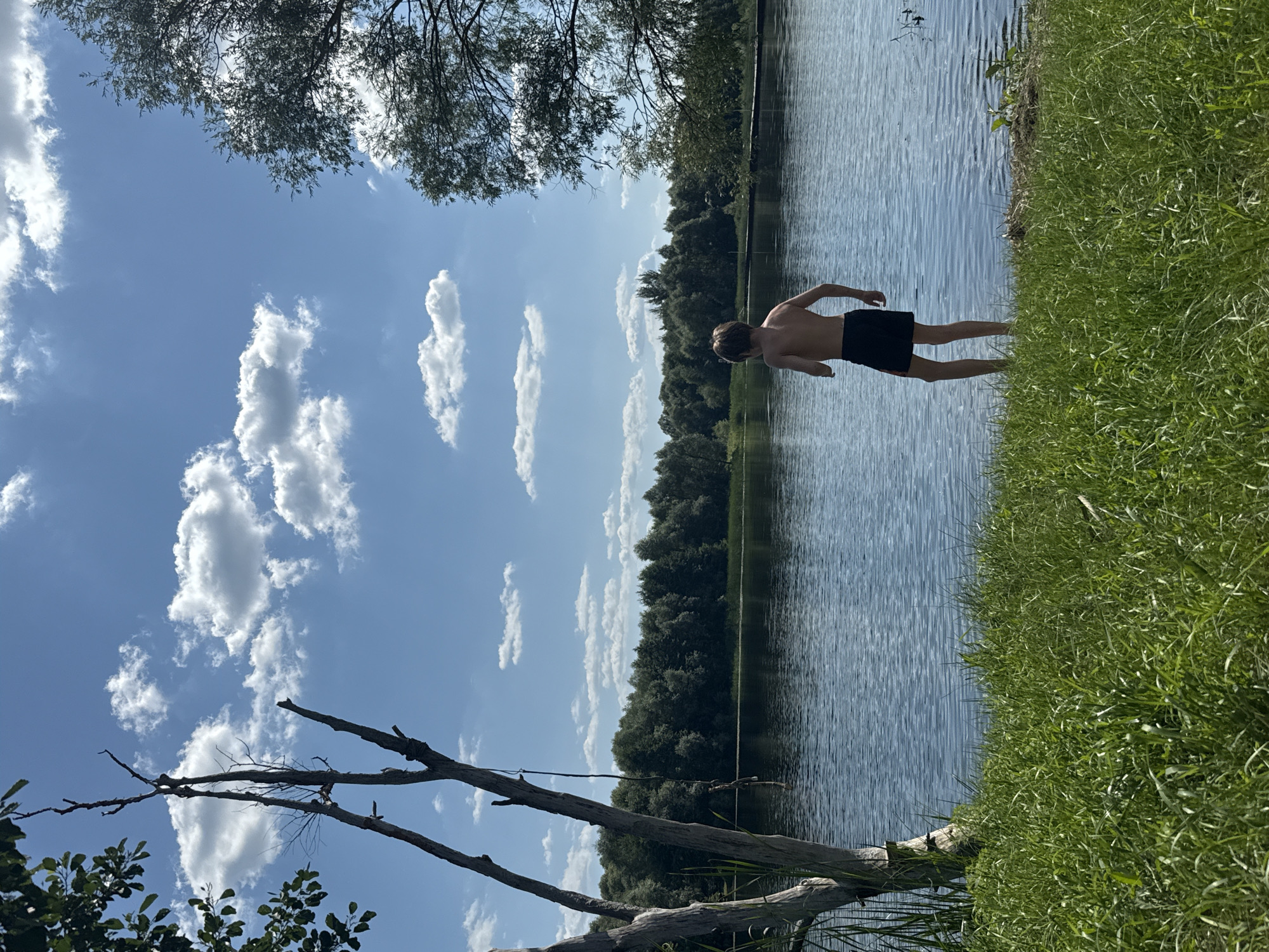 A lone, shirtless person wearing dark shorts stands at the edge of a calm, blue body of water, facing away from the camera. The person's arms are bent at the elbows. The setting is a grassy bank with tall green grass in the foreground. A leafless tree trunk with branches is on the left side of the frame, with a rope hanging from it. Beyond the water, a dense line of green trees forms the background, under a bright blue sky filled with scattered white clouds. The scene appears to be a natural outdoor environment on a sunny day.