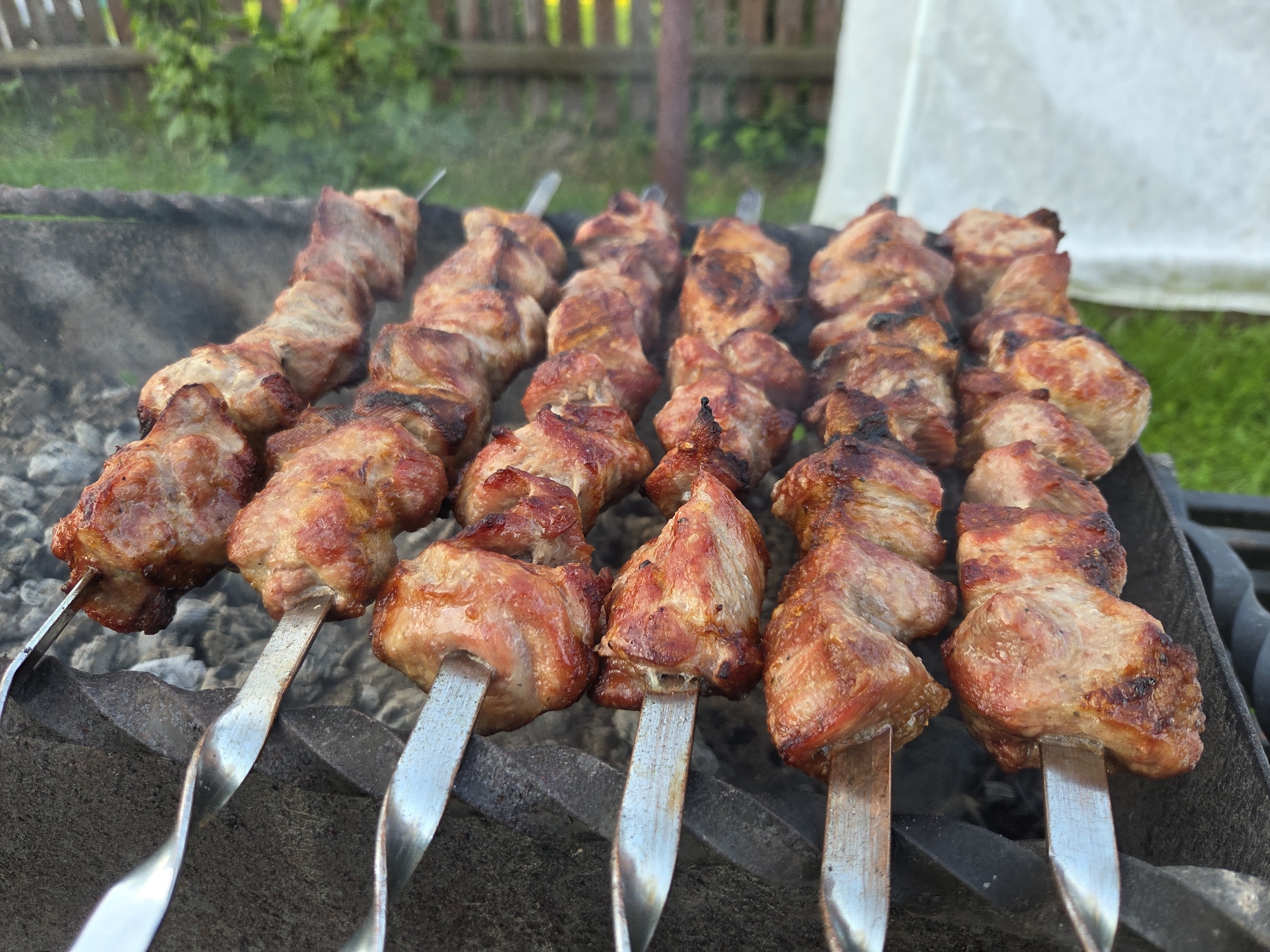 The image shows several skewers of meat being cooked over a grill. The meat is a reddish-brown color and appears to be well-cooked, with some charring on the edges. The skewers are made of metal and are arranged in rows on the grill. The grill itself is made of dark metal and is filled with hot coals. In the background, there is a wooden fence and some greenery, suggesting an outdoor setting. The overall scene depicts a barbecue or outdoor cooking event.