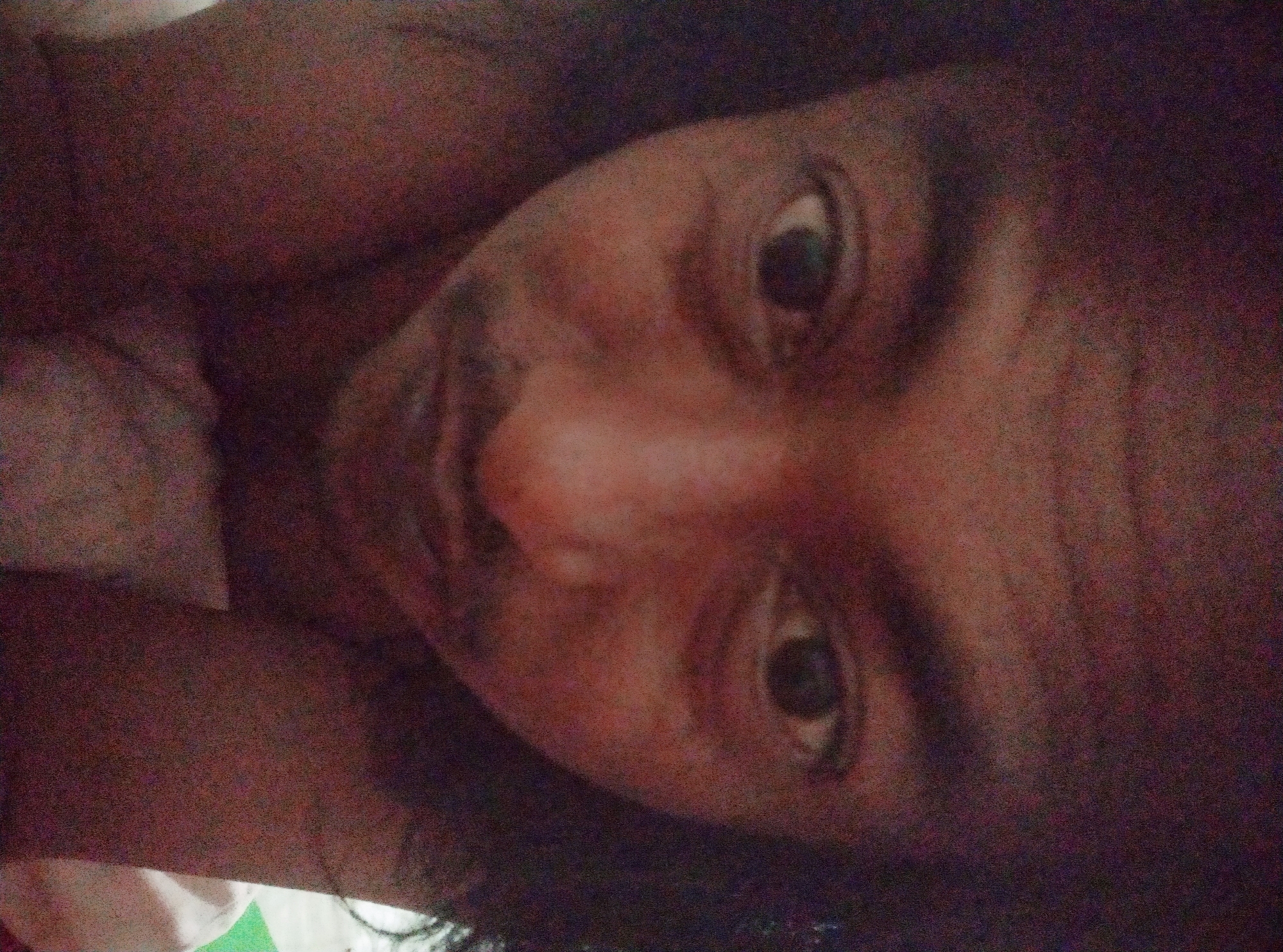 This is a close-up, low-resolution selfie of a person's face, taken from a downward angle. The subject appears to be looking directly at the camera. Their face is reddish-brown, and there is visible graininess and noise throughout the image. Dark, curly hair frames the face. The background is dark and out of focus, making it impossible to discern any details of the environment. There is no identifiable information about the location in Sumurber, Indonesia.