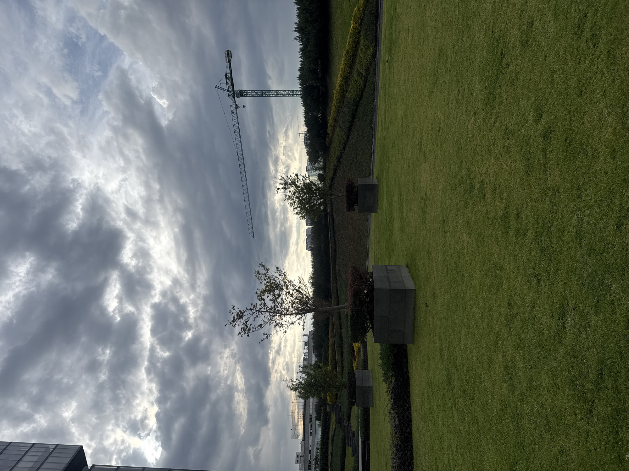 The image shows a park-like setting under a cloudy sky. A construction crane is visible in the background. A green lawn is on the right side of the image with several small trees planted in square concrete planters along the edge. Behind the planters, there is a hedge. In the distance, buildings can be seen. Based on available information, it is likely that this image was taken in Mexico City, Mexico.