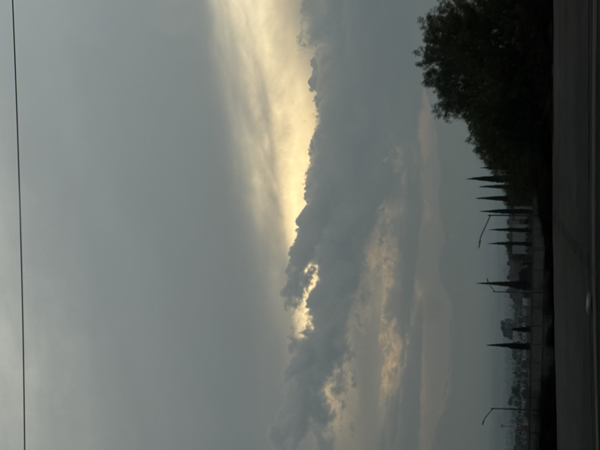The image shows a view of the sky in Barrio de Nuevo León, Mexico, with predominantly grey clouds and a patch of bright yellow light breaking through. The sky takes up most of the frame. A line of tall, thin trees is visible on the right side of the image, near a road. Below the trees, there is a hazy view of buildings and streetlights, suggesting an urban or suburban landscape.