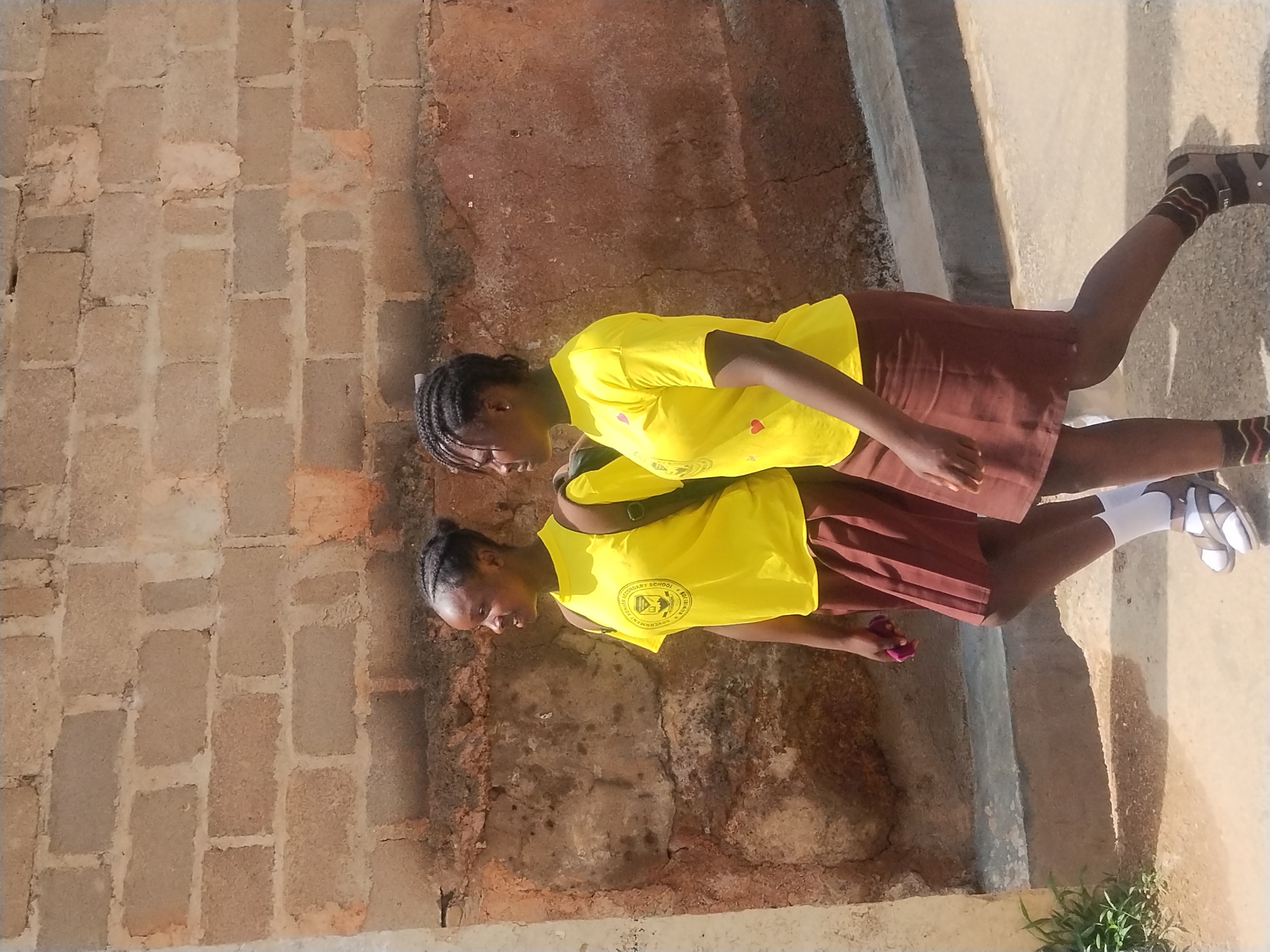 Two young female students, likely in their early to mid-teens, are walking side-by-side in front of a brick wall. They are both wearing matching yellow t-shirts with a circular emblem and brown pleated skirts. The student on the left has her hair in braided pigtails and is carrying a pink item in her left hand. The student on the right has her hair in braids and is wearing white socks with sandals. The brick wall behind them is constructed of light brown, rectangular blocks with visible mortar. The ground in front of them is a dirt path, with a curb to the left and a concrete gutter. In the lower left corner, some green foliage is visible. The scene appears to be outdoors, possibly in a schoolyard or residential area within the city of Jos, Nigeria, given the architectural style of the wall and the students' uniforms.