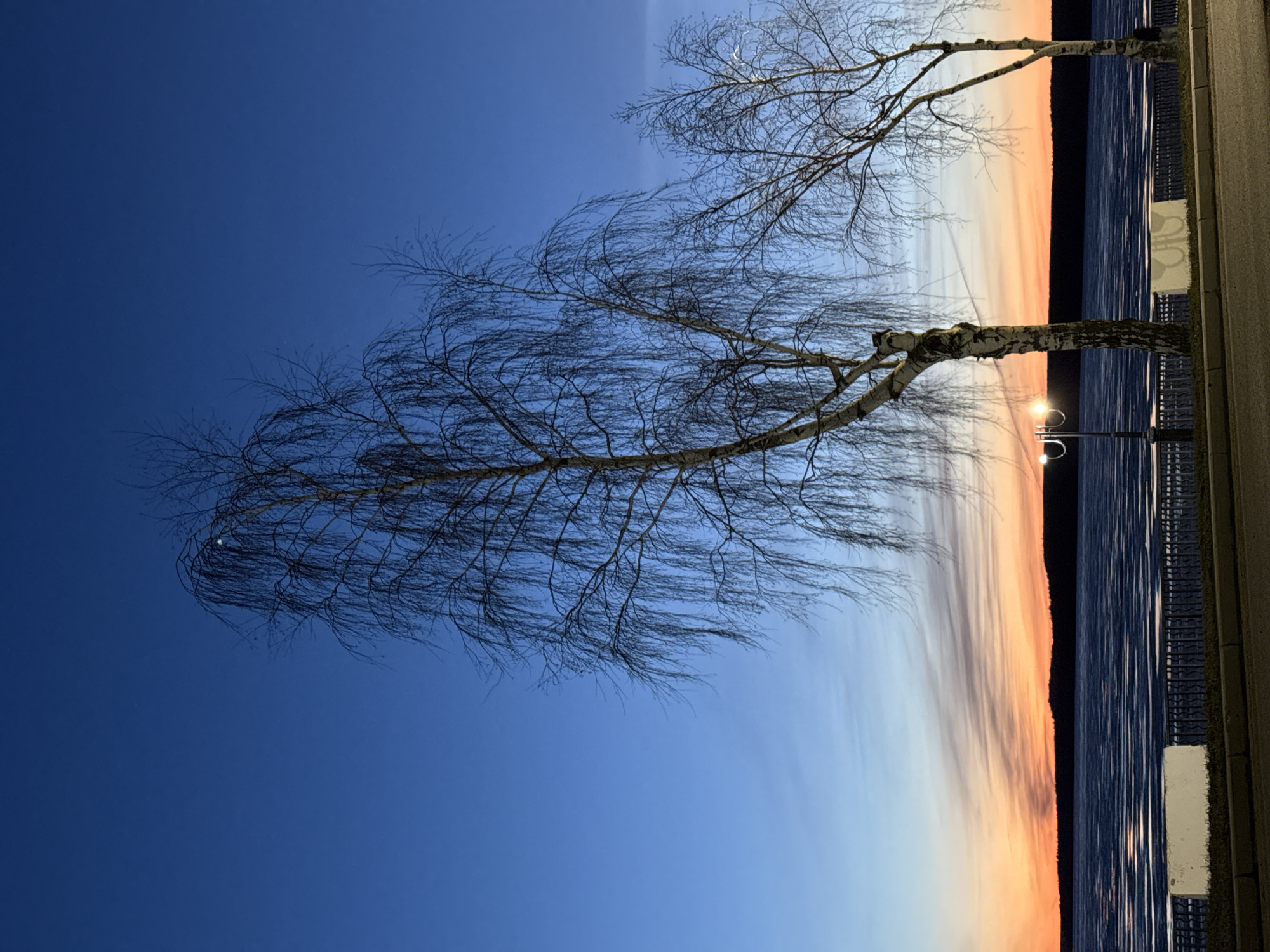 A sideways view captures a late evening or early morning scene in Votkinsk, Russia. Two bare-branched birch trees stand against a gradient sky transitioning from deep blue to light orange near the horizon, suggesting either dusk or dawn. A body of water reflects the sky's colors, separated by a dark strip of land. Lampposts with lit globes are visible near the trees. The scene is bordered by a concrete pathway with a low, dark barrier along the water's edge.