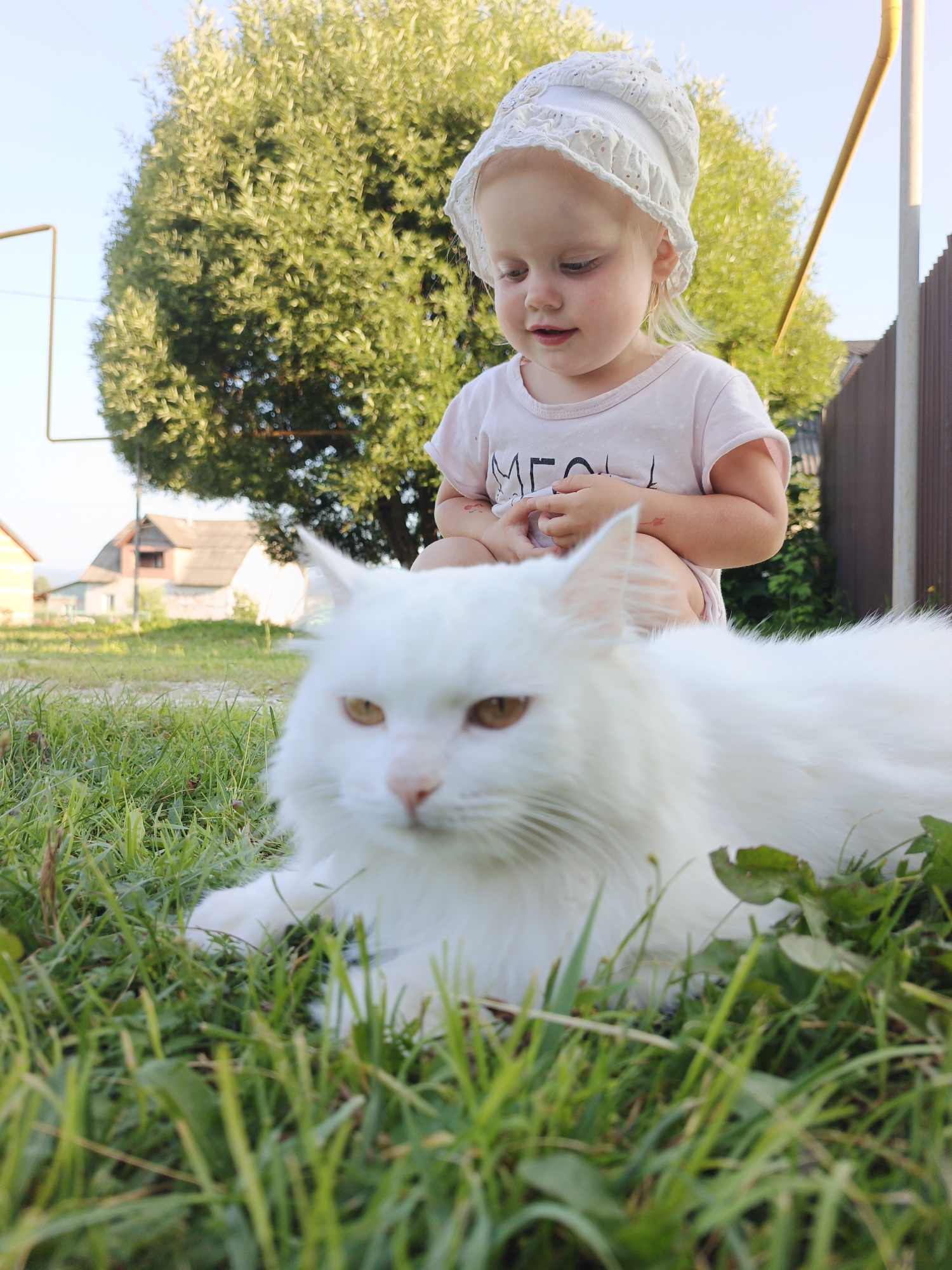 In Medvedyovka, Russia, on a sunny day, a young Caucasian girl wearing a white bonnet and a light pink t-shirt with the word "MEOW" is seated in a grassy area. She is looking down towards a fluffy white cat that is lying on the grass in front of her, facing the camera. The cat's eyes are open and looking forward. The background shows a large, leafy green tree, houses, and a wooden fence. The image is taken from a low angle, with the grass in the foreground being out of focus.