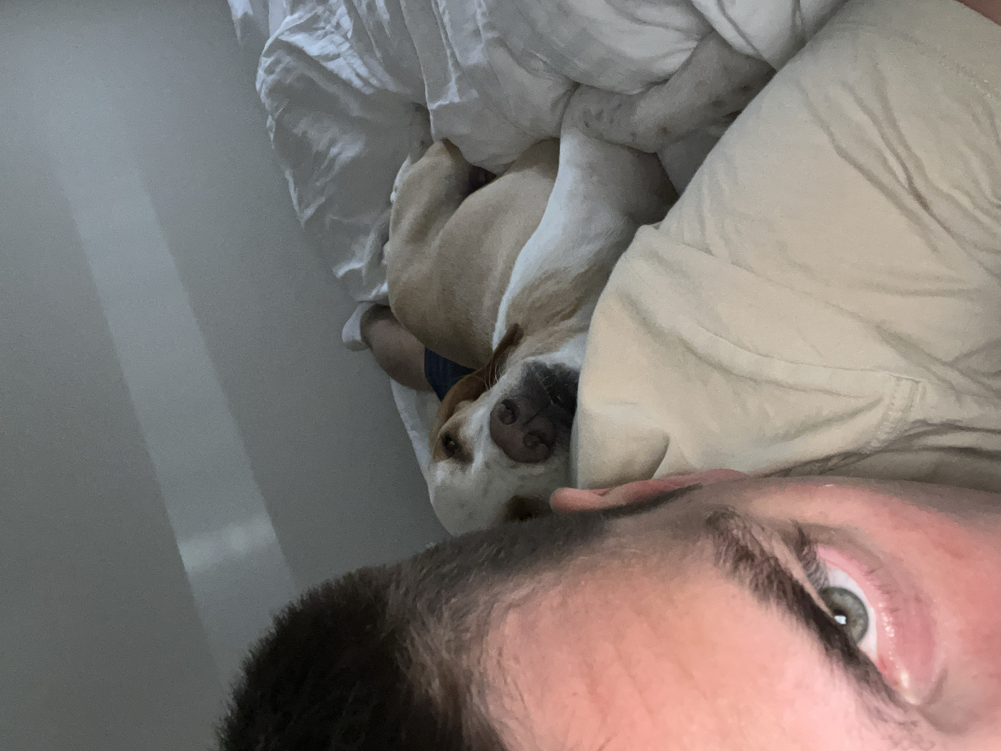 A man is lying in bed next to a dog. The man's face, including his eye and eyebrow, is in the foreground. The dog is curled up in the bed next to him, with its nose visible. The bed has white sheets and bedding. The location is unspecified and not confirmed to be Budva, Montenegro.