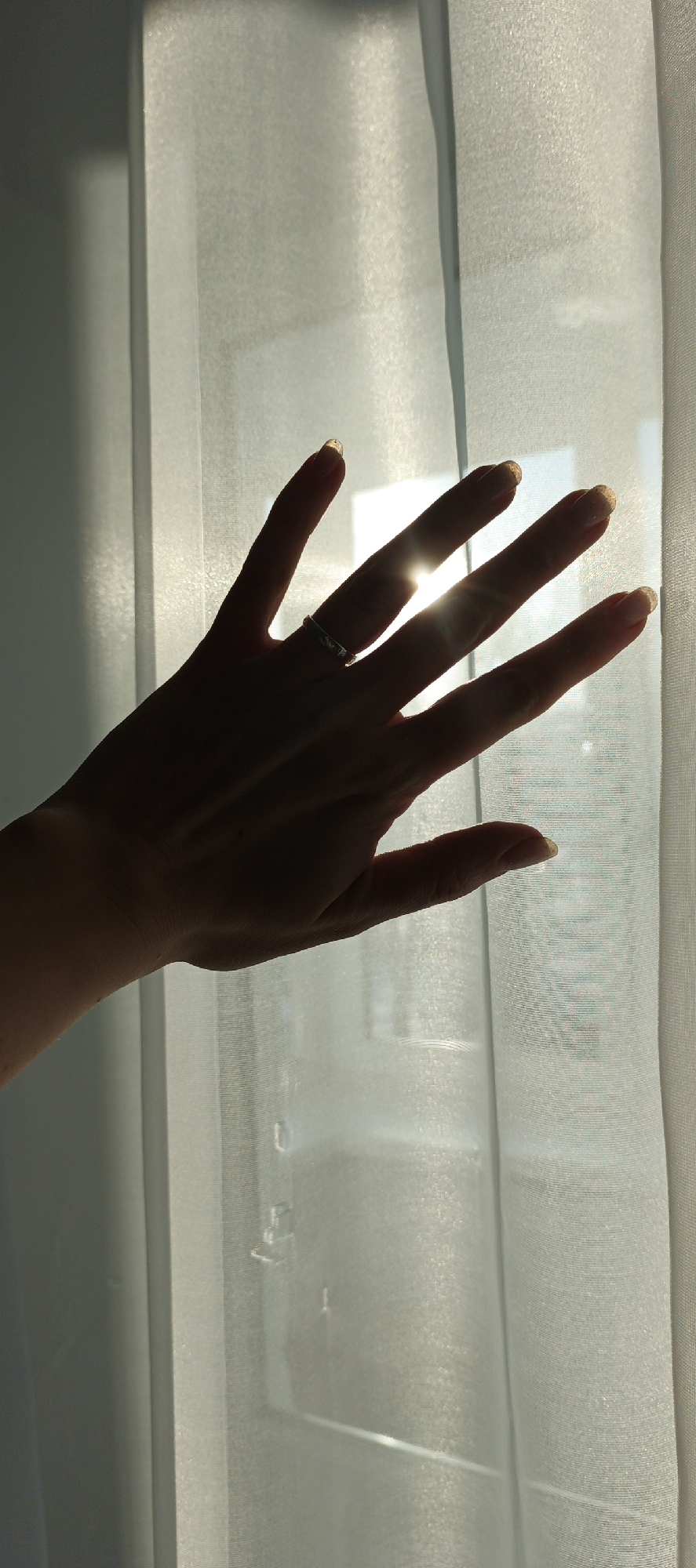 A person's hand is silhouetted against a bright light source, possibly the sun, which is diffused by a light-colored, semi-transparent curtain. A ring is visible on the ring finger. The hand is extended with the fingers spread. The location is unknown and it is impossible to determine if it is in Chaikovsky, Russia or anywhere else based on the information given in the image.