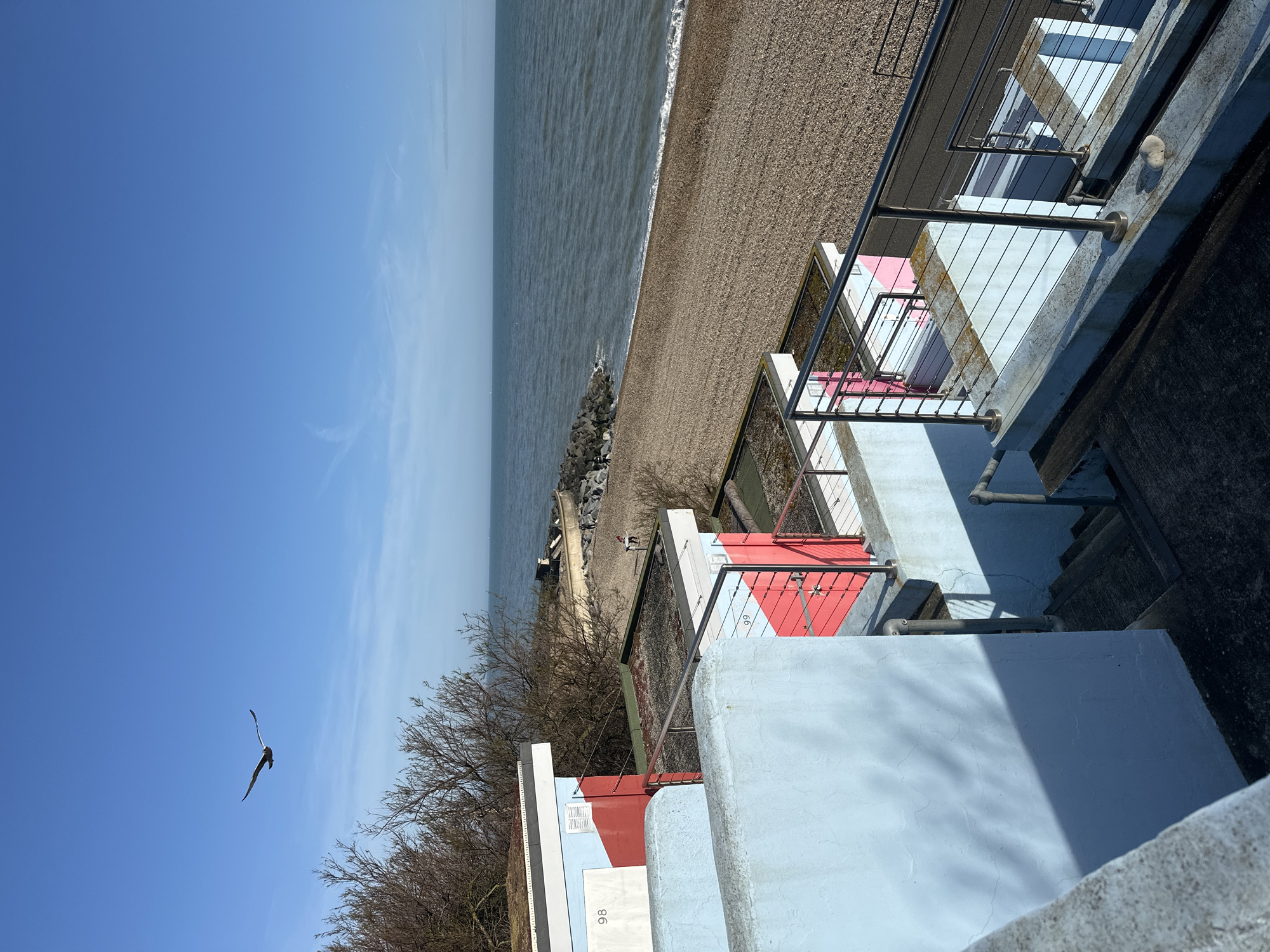 The image depicts a section of beach huts along the Folkestone & Hythe District coastline in the United Kingdom. The huts, painted in varied pastel colors with contrasting trim, are arranged in tiers. Their rooftops feature metal railings. To the left, a line of bare trees stretches toward the clear blue sky, where a single bird is in flight. Adjacent to the huts is a gravel beach meeting the sea. In the distance, a small group of people is visible on the beach.