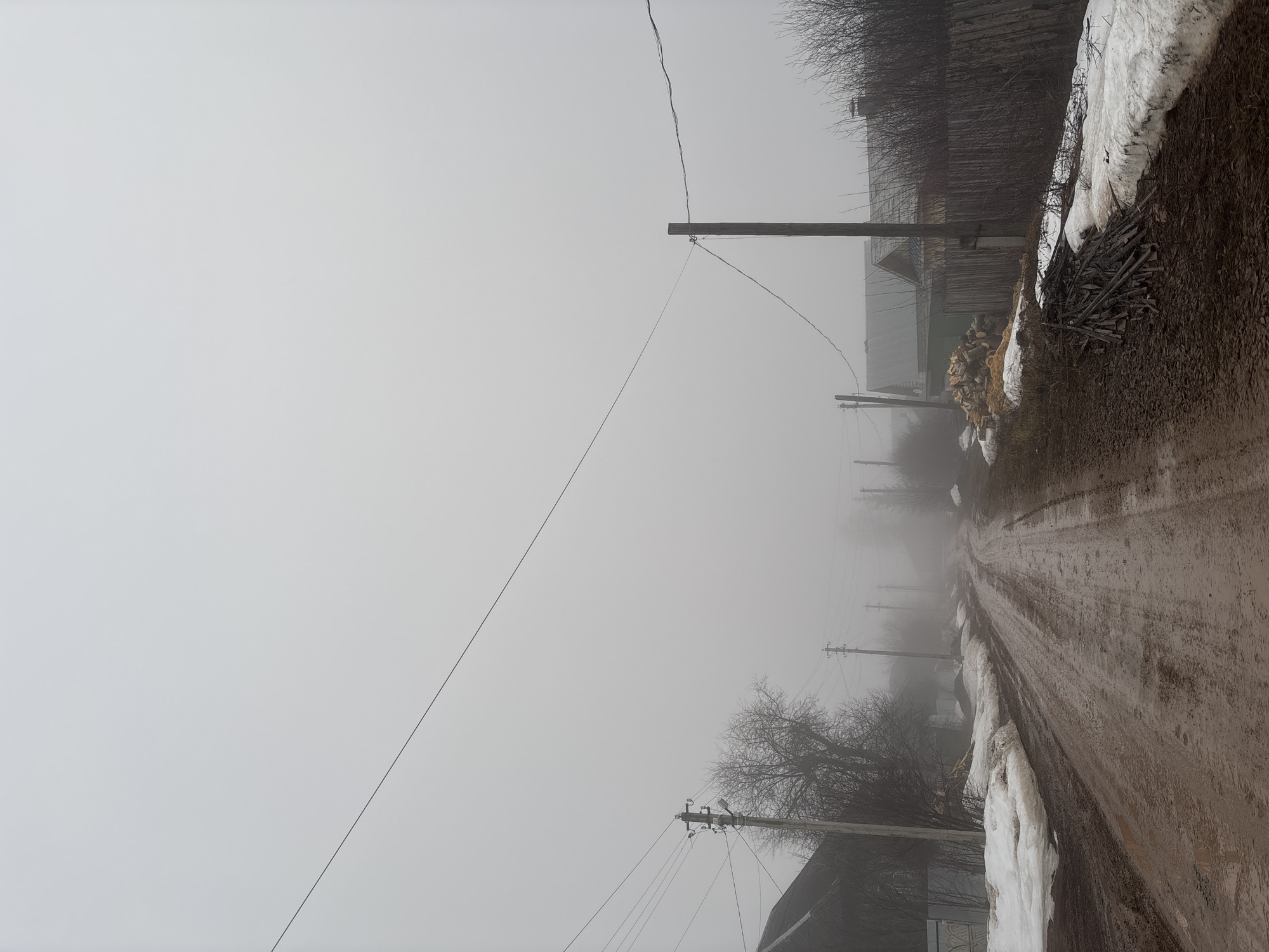 The image depicts a fog-shrouded dirt road in Фоки, Russia. Snowbanks line the side of the road, and utility poles with wires run along the road and across the sky. Some houses and buildings are visible through the fog. Some branches and piles of wood are stacked on the sides of the road. The road itself is muddy.