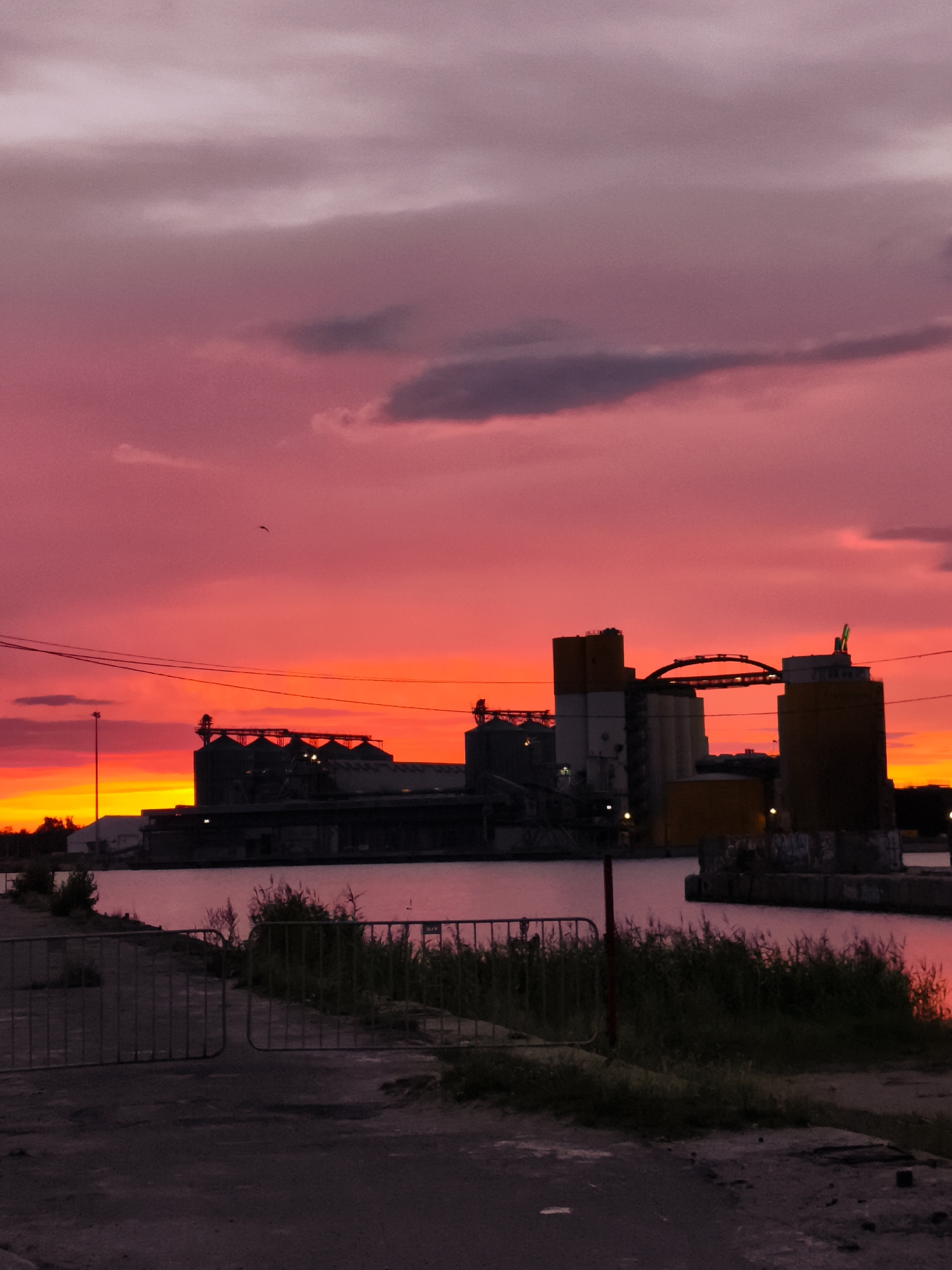 The image captures a vibrant sunset over the industrial port area of Gdańsk, Poland. The sky is a dramatic spectacle of pink and orange hues, with darker clouds scattered across the upper portion. Silhouetted against this colorful sky are industrial structures, likely grain elevators or port facilities, featuring large silos and connecting walkways. A body of water, reflecting the sunset's colors, lies in the foreground, separating the industrial buildings from the viewer. The immediate foreground shows a concrete pathway with metal barriers and overgrown grass, suggesting a public access area or a boundary. The overall scene conveys a sense of industrial activity juxtaposed with the natural beauty of a sunset.