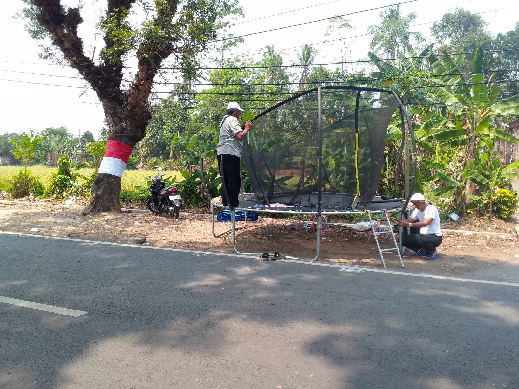 In Mandalawangi, Indonesia, on a sunny day, two men are assembling a trampoline next to a road. One man, wearing a white cap, grey t-shirt, and black pants, stands on the trampoline frame, holding a black pole. The other man, in a white t-shirt, black pants, and a white cap, squats by the trampoline's base, appearing to be securing a part of it. A ladder leans against the trampoline structure. A motorcycle is parked to the left of the scene, near a large tree wrapped with a red and white band. Lush green foliage, including banana trees, surrounds the area. The road has a white line marking.