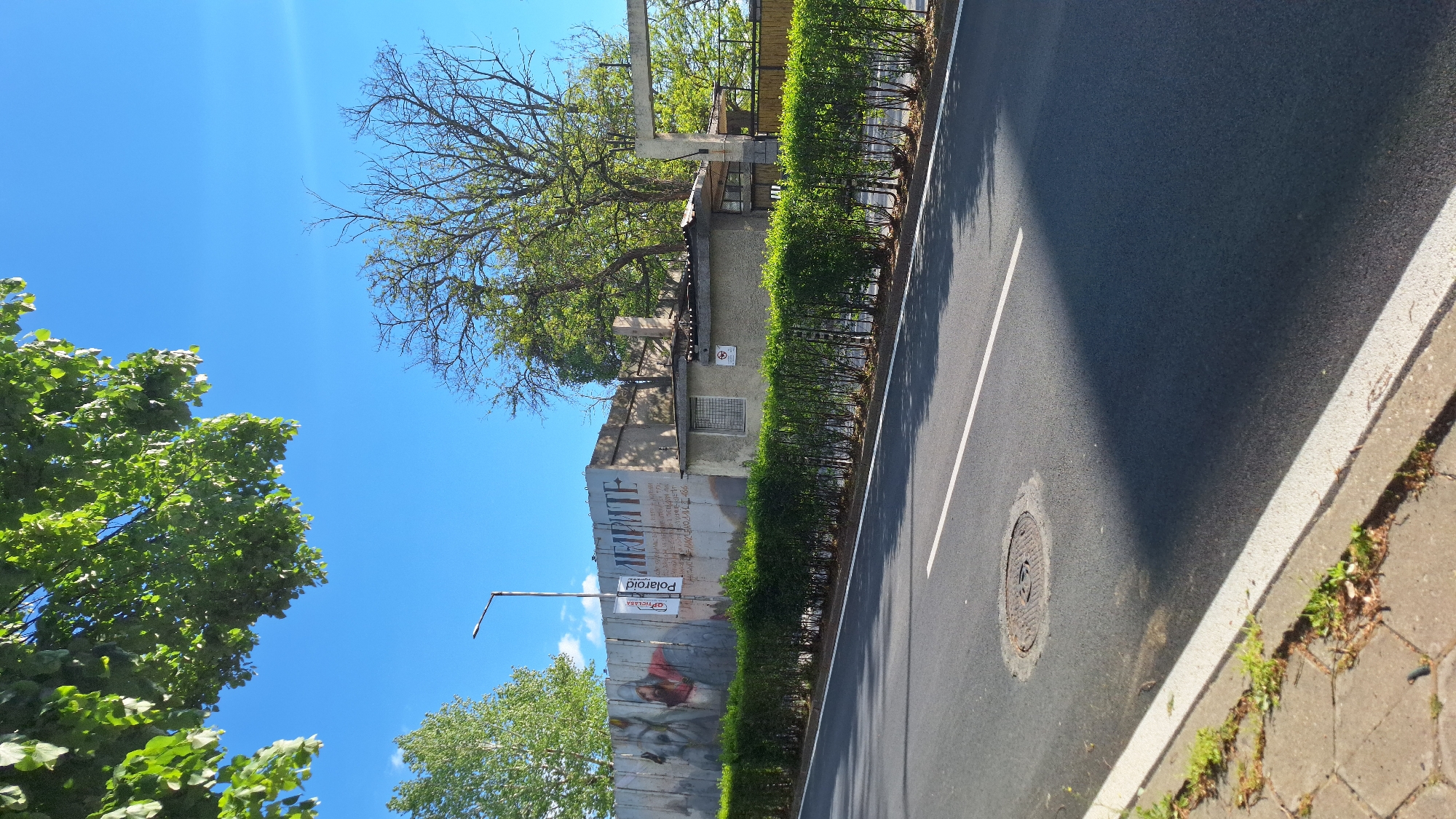 The image depicts a street scene in Blagoevgrad, Bulgaria. The road has an asphalt surface with a white lane marker, and a manhole cover. Next to the road is a sidewalk and a low curb with some vegetation growing along the edge. A metal fence is lined with a hedge. Beyond the hedge is a dilapidated, concrete building with a sign and graffiti. A tree with green leaves hangs over the building. There is a lamp post and blue sky in the background.