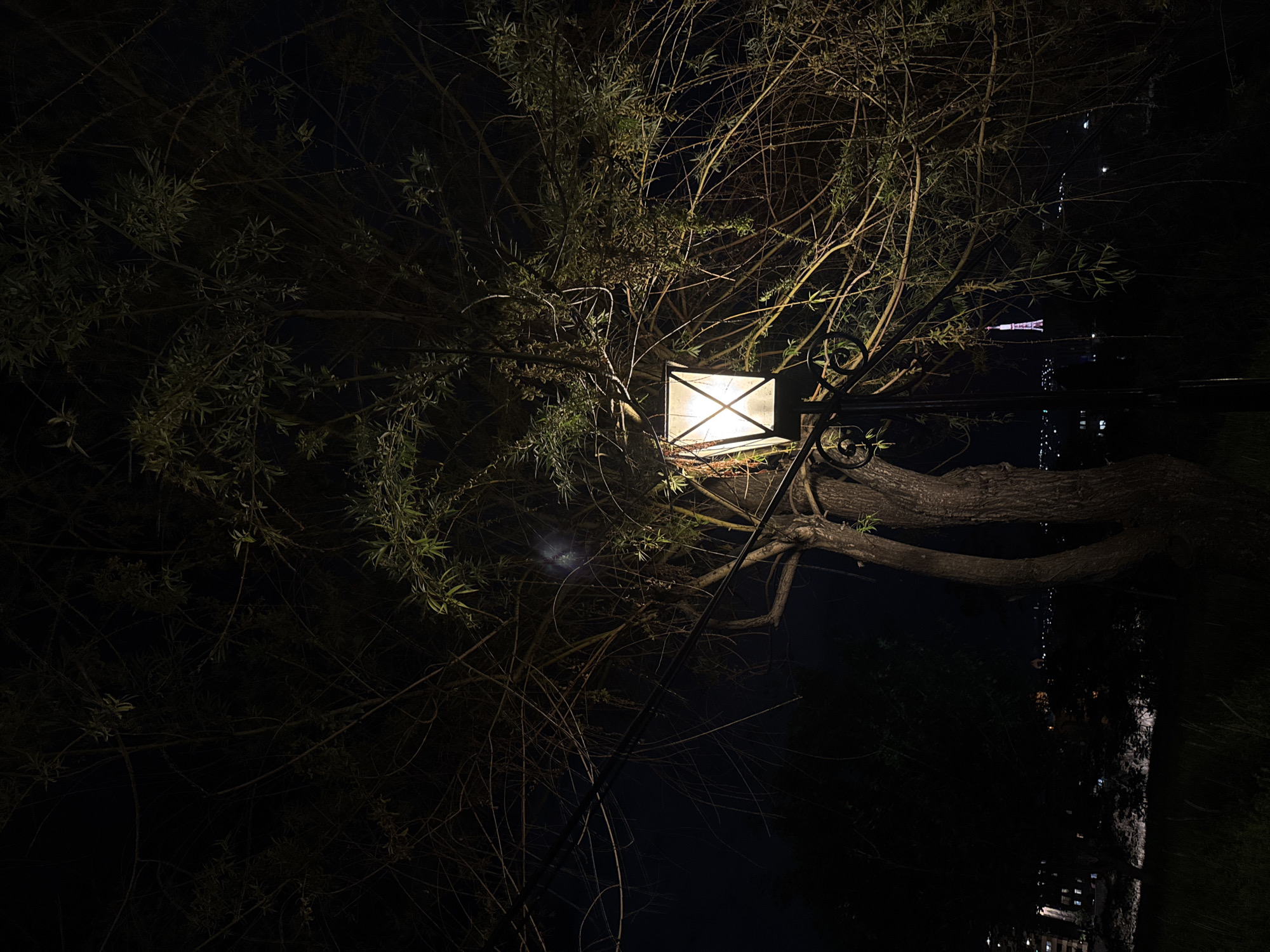 At night in Yerevan, Armenia, a square lantern is mounted on a dark metal pole and shrouded by the branches of a tree. The lantern is illuminated, casting light onto the immediate area. In the distance, reflections in the water suggest the presence of buildings or other structures along the waterfront. The overall scene is dimly lit and dominated by the darkness of the night.