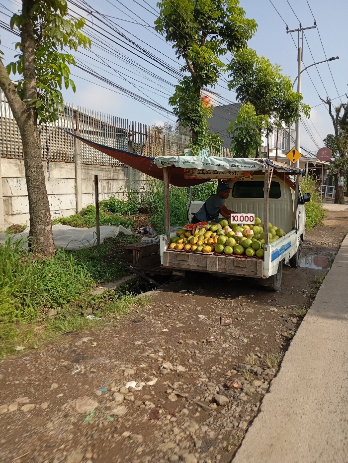 The image captures a stationary white pickup truck, modified as a mobile fruit stall, positioned on an unpaved, gravel shoulder adjacent to a paved walkway in Pataruman, Indonesia. The truck's bed is filled with a large quantity of green and yellow fruits, consistent with guavas. A male individual, dressed in a dark shirt and cap, is visible within the truck's open cabin, facing the rear, seemingly tending to the produce. A white sign displaying "10.000" in red numerals is positioned near the fruit. A brown tarp and lighter fabric form a canopy over the truck's bed. To the left, a concrete wall topped with a metal fence runs parallel to the scene, behind which is an overgrown area with tall grass and two large trees. Utility poles with multiple overhead power lines are visible, extending across the upper portion of the frame. In the background, a yellow diamond-shaped traffic sign with a black exclamation mark is visible. The immediate foreground is a rough, uneven dirt surface with scattered debris and small rocks. The sky is clear and bright.