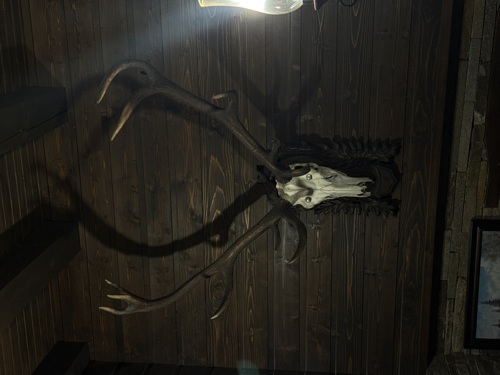 A mounted deer skull with large antlers is affixed to a dark wooden paneled wall. The skull is white and exhibits a carved dark wood plaque with a leafy design behind it. To the right of the skull, a lit oil lamp with a glass shade is visible, casting a warm glow on the wall. The wall is constructed from horizontal wooden planks, and a shadow of the antlers is projected onto the wall above them. Below the wooden paneling, a section of stonework is visible, with a framed picture hanging on it. The overall scene suggests an interior setting, possibly a rustic hunting lodge or a room with a hunting theme. The location is identified as Svejen, Bulgaria.
