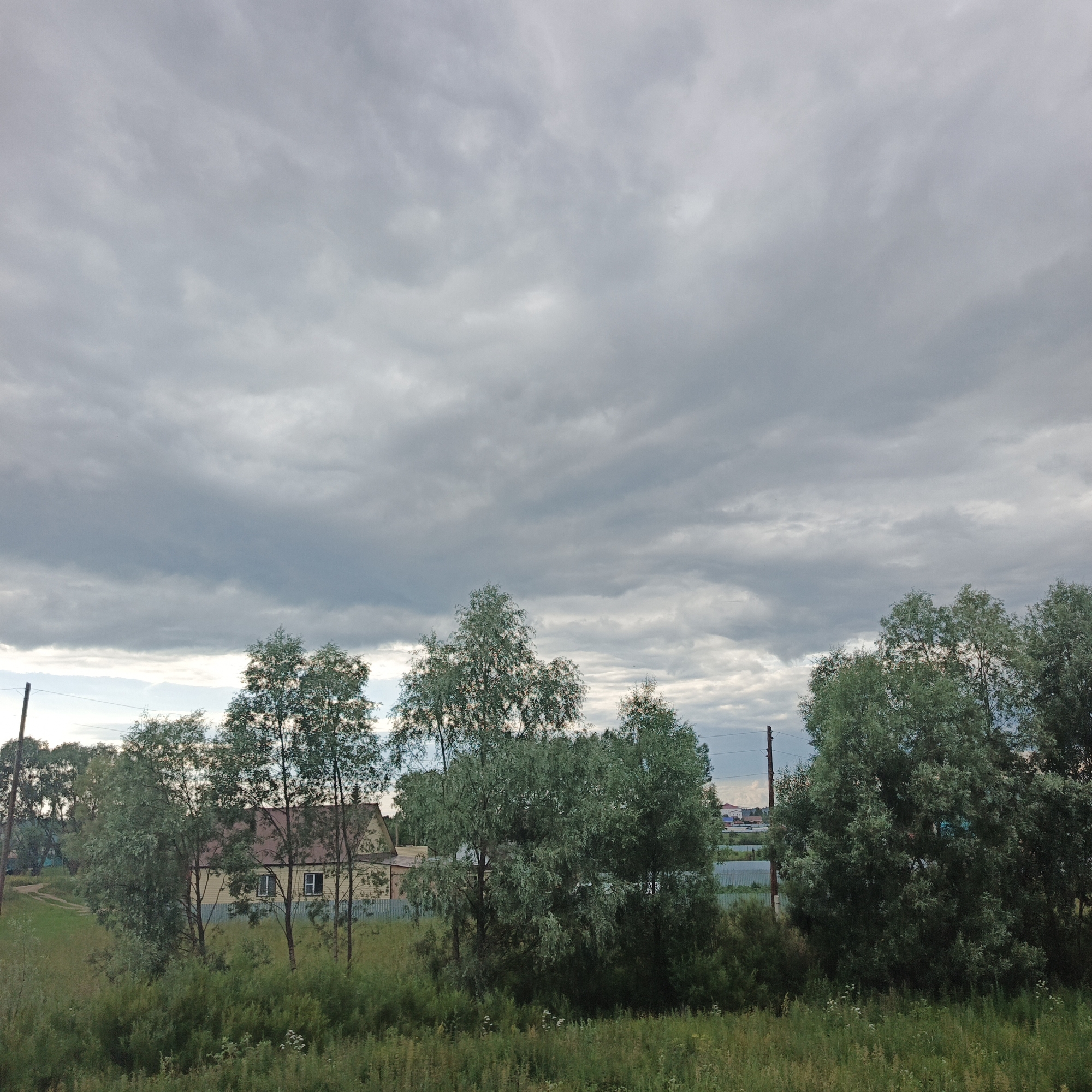 This media file captures a cloudy day scene in Podlubovo, Russia. The foreground is filled with lush green grass and vegetation, leading to a cluster of trees with abundant foliage. Behind the trees, a light-colored house with a reddish-brown roof is visible, featuring two windows and a light-colored fence surrounding it. Further in the background, more trees and houses can be seen, along with a utility pole and power lines, suggesting a rural or semi-rural residential area. The sky is dominated by heavy, gray clouds, indicating overcast weather, possibly before or after a rain shower. The overall mood of the image is calm and subdued, reflecting the overcast conditions and the quiet setting. There is no visible text in the image. The time of day appears to be late afternoon or early evening, given the soft lighting and the cloud cover.