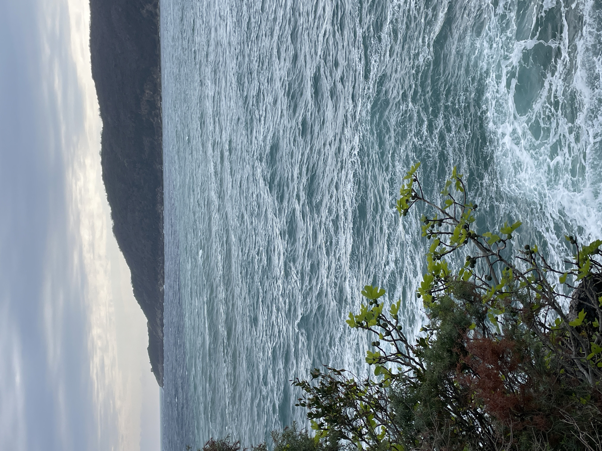 The image displays a coastal scene in Budva, Montenegro, under an overcast sky. In the immediate foreground, dense vegetation covers the lower left portion of the frame, comprising branches from a fig tree (Ficus carica) bearing multiple small, unripe green fruits and broad green leaves, intermingled with darker evergreen shrubs and patches of reddish-brown foliage. Beyond the foreground vegetation, the middle ground is occupied by a turbulent expanse of the Adriatic Sea, characterized by choppy, greenish-blue water with numerous whitecaps and breaking waves creating significant white foam. In the background, a large, dark, heavily forested landmass, likely an island or peninsula such as Sveti Nikola, rises steeply from the sea. A small, light-colored structure, possibly a building or a navigational aid, is visible on a prominent, lower point of this distant landmass towards the left side of the frame. The sky above is uniformly gray with heavy cloud cover, indicating diffused natural light. No human or animal subjects are present within the scene.