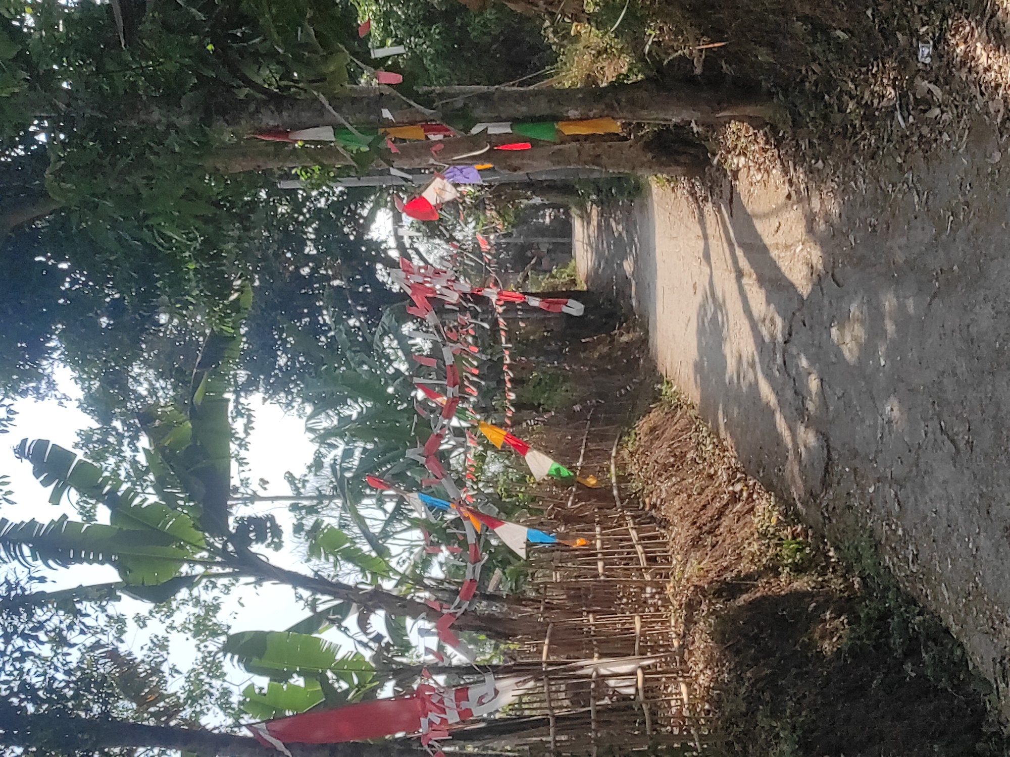 The image depicts a dirt road winding through a rural area, lined with trees and a bamboo fence. The road is decorated with numerous small flags, primarily red and white, strung across it, suggesting a festive or patriotic occasion, possibly related to Indonesian Independence Day. The flags are of various sizes and shapes, some triangular, others rectangular, and some appear to be small Indonesian flags (Merah Putih). Bananas trees are visible to the left of the road. The road surface is uneven and appears to be made of compacted earth or gravel, with patches of sunlight and shadow. The overall environment suggests a tropical or subtropical climate, with dense foliage and vegetation. The scene is likely located in a village or rural outskirts of Sumedang, Indonesia, given the prevalence of Indonesian flags and the characteristic rural landscape. No people are visible in the image.