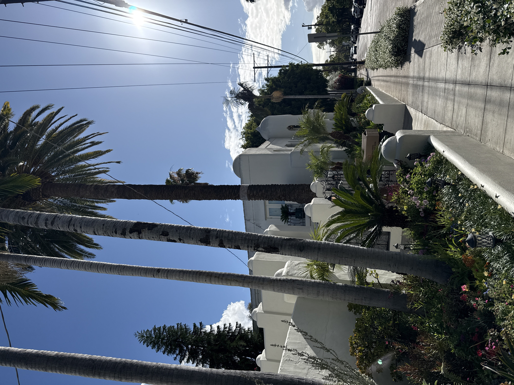 The image shows a street scene in Los Angeles, USA. A row of tall palm trees lines the left side of the street, their trunks prominent in the foreground, stretching upwards towards the clear blue sky with a bright sun. Behind the trees is a white building with distinct rounded architectural features, partially obscured by the palms and other lush green foliage. To the right of the building is a sidewalk, bordered by a low white wall and vibrant vegetation. Further down the sidewalk, the scene recedes into the distance, with glimpses of parked cars and additional greenery. Above, a network of power lines cuts across the sky. The scene appears to be captured during the daytime with strong sunlight casting shadows.