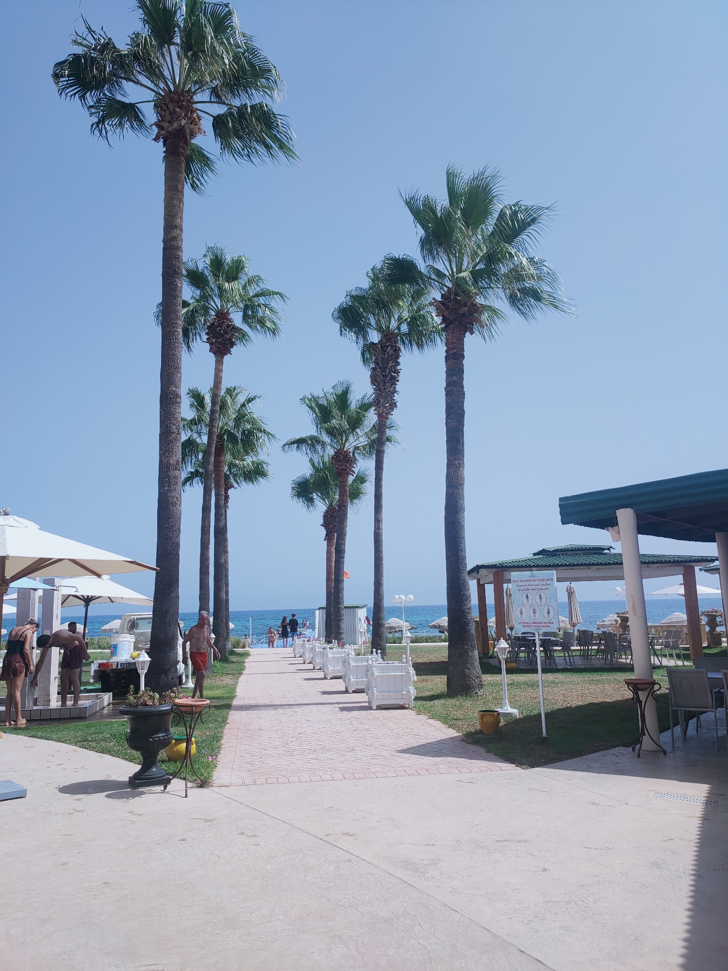 This is a vertical, eye-level, full shot of a resort area on a sunny day in Nabeul, Tunisia. The scene is dominated by several tall palm trees with lush green fronds, framing a pathway leading towards a beach and the ocean. The pathway is paved with reddish-brown bricks in a herringbone pattern, bordered by light beige concrete. To the left of the pathway, white umbrellas and lounge chairs are visible. Several people are present: two women and one man are near the left edge of the frame, in conversation. Further down the pathway, a man in orange shorts walks away from the camera. In the background, a group of people are walking on the beach, and beach umbrellas dot the coastline. A covered outdoor seating area with tables and chairs is situated to the right, with a sign displaying social distancing guidelines. The ocean is a clear blue, meeting a bright, cloudless sky. The overall atmosphere is one of a relaxed, tropical resort.