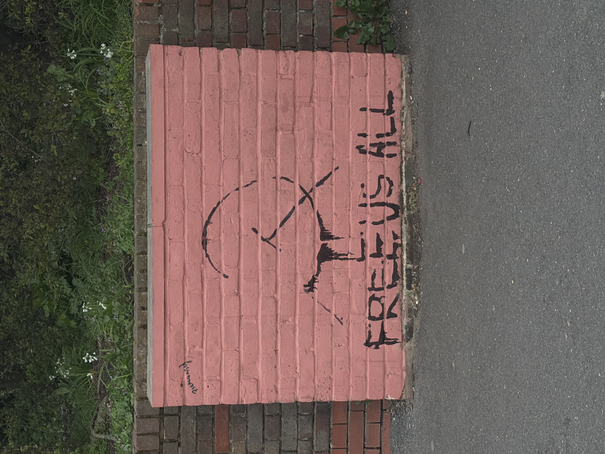 The image shows a painted brick surface with black graffiti. The graffiti includes a circular symbol bisected by a diagonal line, and the words "FREE US ALL" vertically stacked. The brick surface is painted pink. To the left of the brick surface is overgrown foliage and brick paving. To the right of the brick surface is gray asphalt. The word "Pimlico" is visible, suggesting the location in London, United Kingdom.
