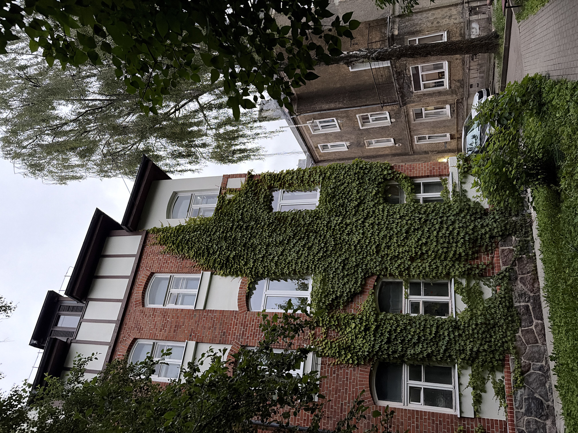 The image shows a close-up of a red brick building with white trim and a mansard roof. The building is partially covered in ivy. To the right of the red brick building is a narrower, older building with a weathered facade. A large tree with light-colored bark and hanging branches is visible in the background, partially obscuring the view of the sky. In the foreground, there is green grass and a paved walkway. A dark-colored car is parked on a paved area in front of the older building. The overall impression is of an urban environment with a mix of older and newer architecture, with a significant presence of greenery.