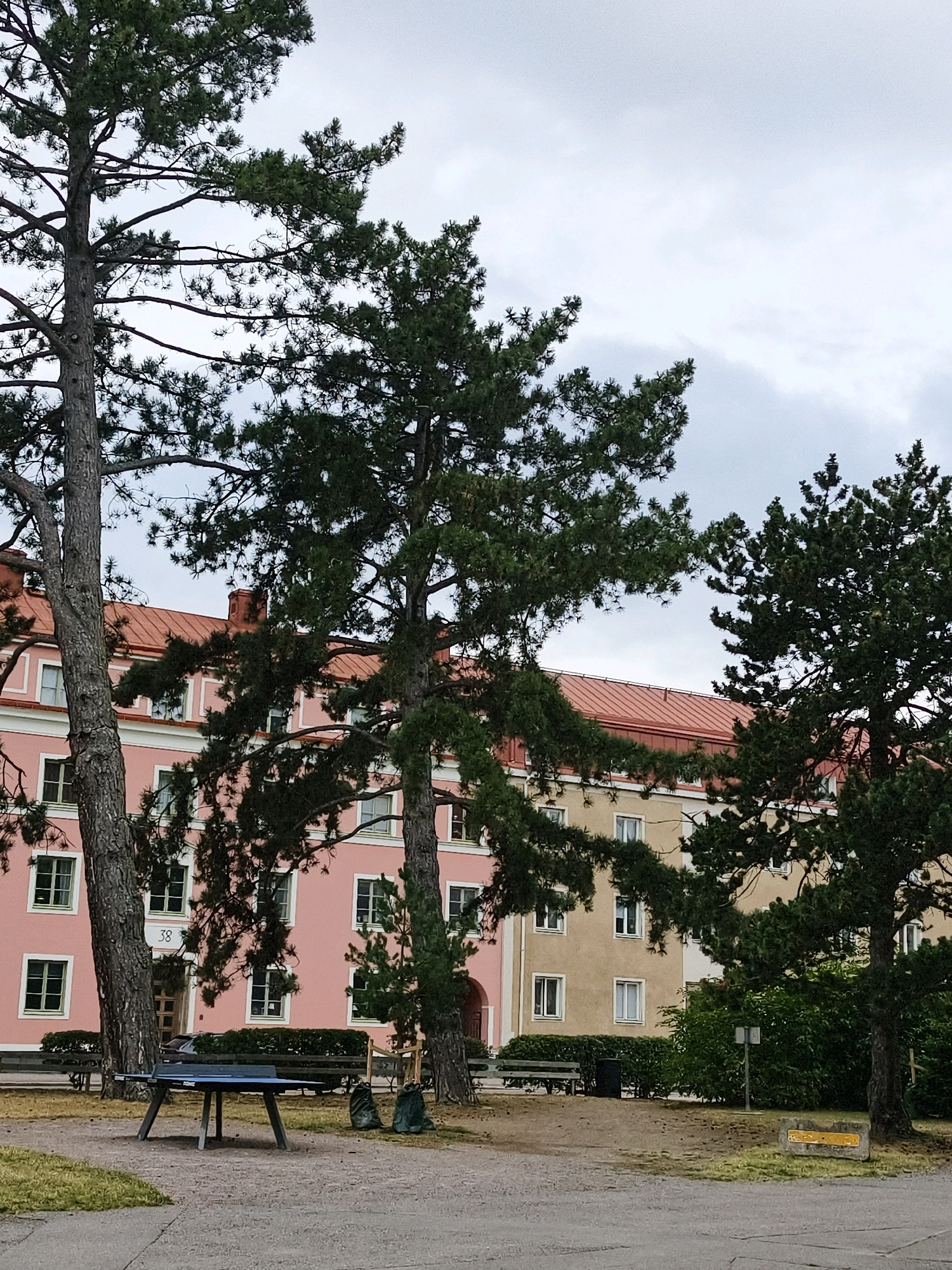The image captures an outdoor scene in Linköping, Sweden, featuring a ping pong table and benches situated in front of two apartment buildings. The buildings have distinct facades; one is painted pink and the other a pale yellow. Both structures have reddish-brown tiled roofs and numerous windows with white frames. Tall pine trees with dense green foliage are prominent in the foreground, their branches partially obscuring the view of the buildings. The ground is a mixture of gravel and grass, with a paved path in the foreground. Two dark green garbage bags are placed near the benches. The sky is overcast, suggesting a cloudy day. The overall environment appears to be a communal outdoor space or park area adjacent to residential buildings.