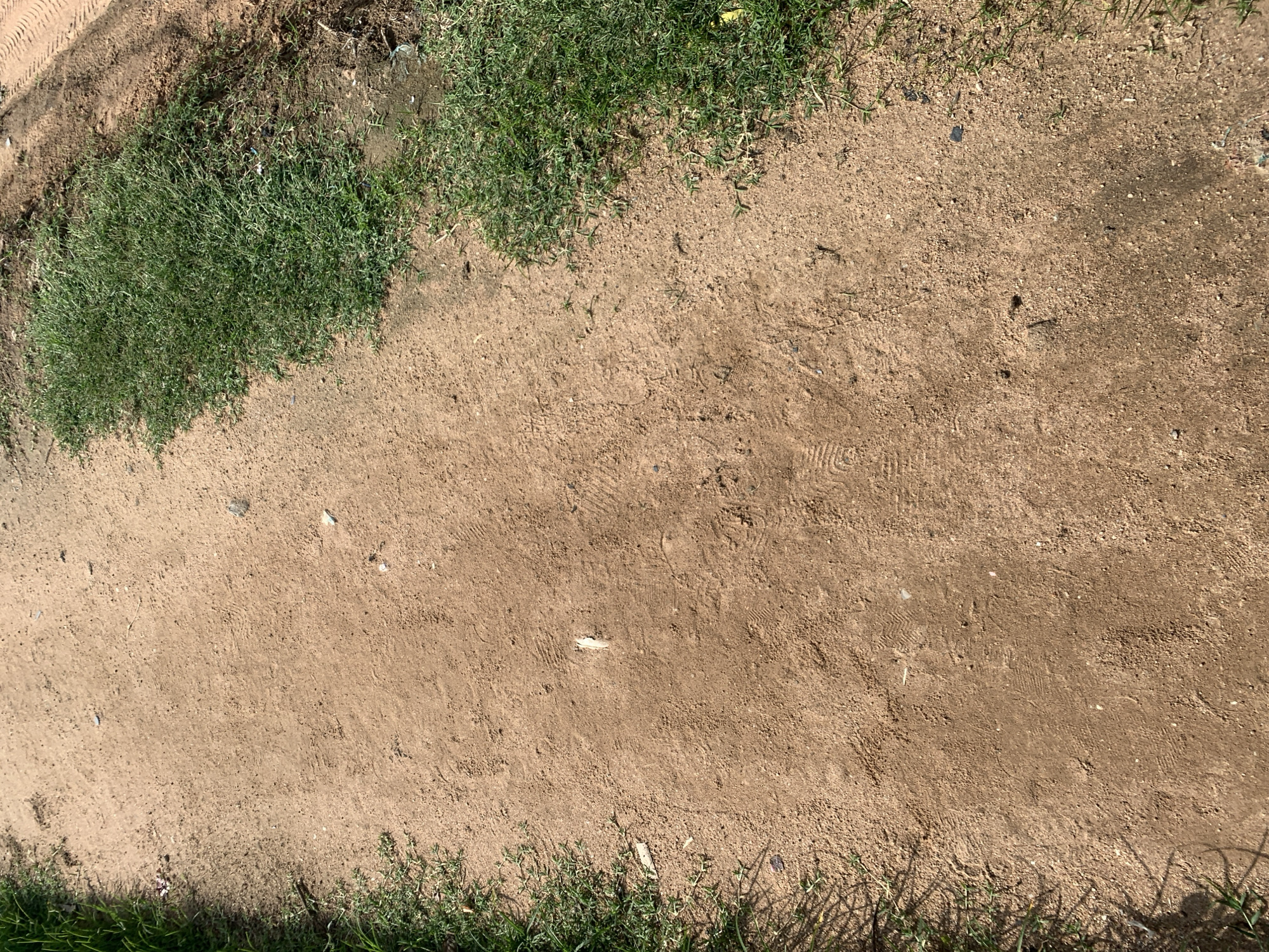 The image depicts a dirt path with patches of green grass growing along the edges. There are tire tracks visible on the right side of the path, suggesting it is a road or a frequented area. The ground is composed of dry, reddish-brown soil with scattered small stones and debris. Several footprints are imprinted in the dirt, indicating recent human or animal activity. The lighting suggests it is daytime, with shadows cast from the grass onto the path. The overall environment appears to be an unpaved area, possibly on the outskirts of a town or in a rural setting. The presence of tire tracks and footprints suggests this location is accessible and likely used for transportation or passage. The vegetation indicates a climate that supports grass growth.