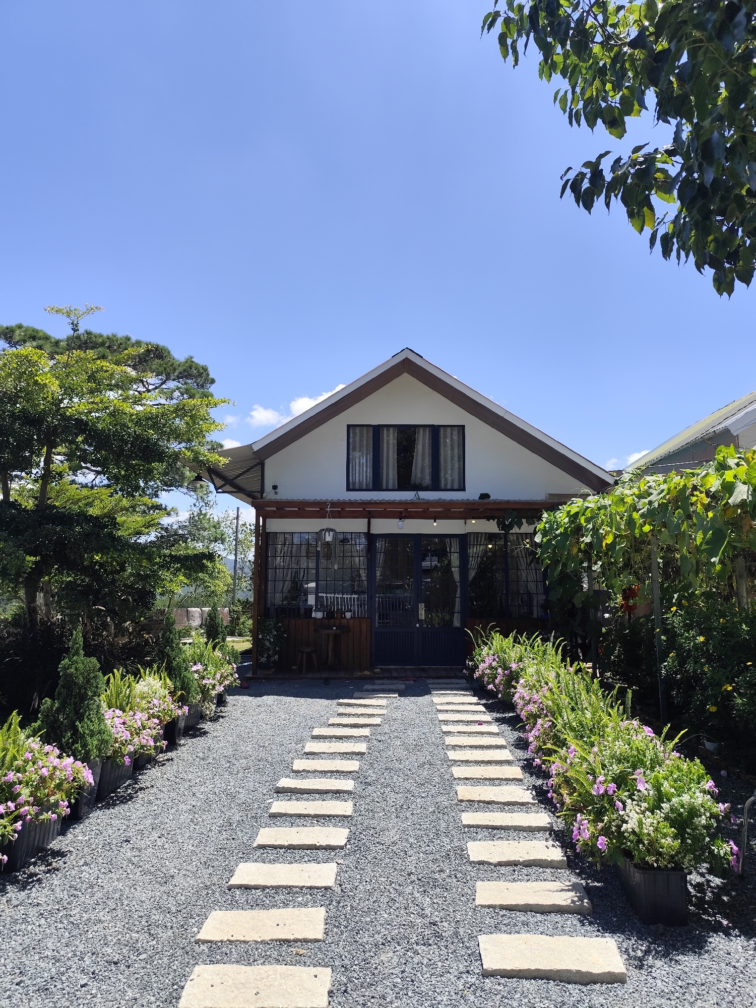 The image depicts a charming pathway leading to a white house with a brown-trimmed roof in Da Lat, Vietnam. The pathway is lined with dark gray gravel and marked by a series of flat, rectangular stone stepping stones. On either side of the path, neatly potted plants, some with delicate pink flowers, are arranged.
The house itself features a prominent gabled roof and a dark-trimmed window on the upper level. The ground floor has a porch area enclosed by glass doors and windows, with a wooden structure and seating visible inside. Above the porch, a corrugated metal awning extends outwards. Green foliage, including trees and a vine-covered structure, surrounds the house, creating a lush and natural setting. The sky is a clear, bright blue, suggesting a sunny day.