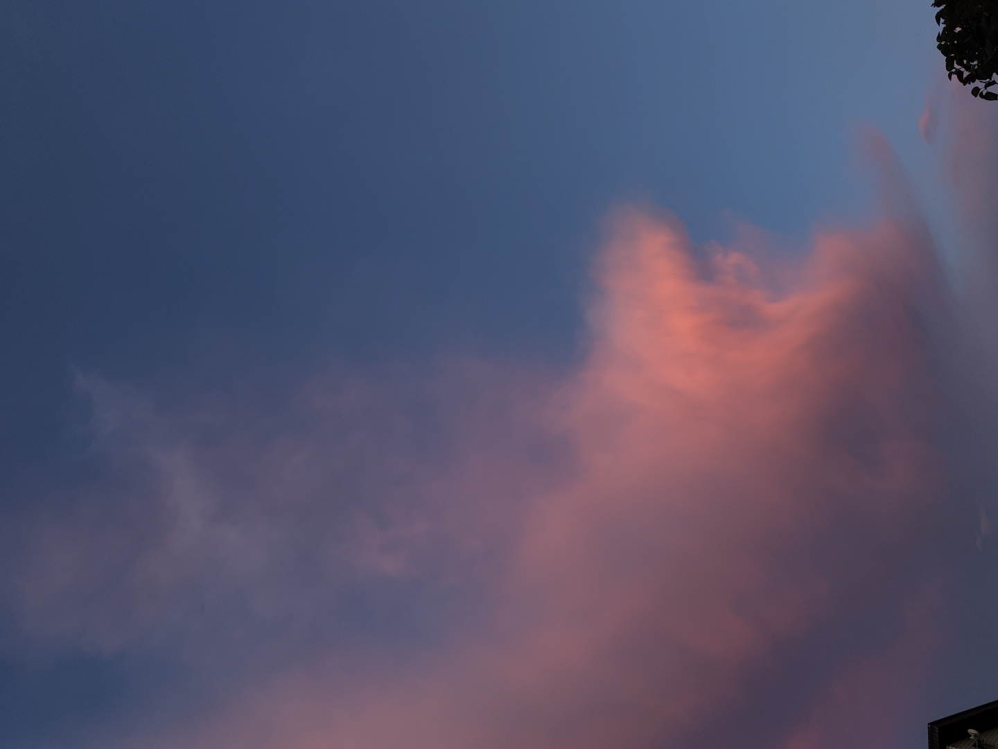 The image displays an outdoor scene focused on a vibrant sky, likely during sunrise or sunset. The dominant subject is the sky itself, filled with a gradient of colors. On the right side, a large, prominent mass of clouds is illuminated in striking shades of pink and orange, with softer red and purple undertones. These clouds show textured, swirling forms. The left and upper portions of the sky transition into a deeper blue and purplish-gray, with fainter, wispy clouds visible in the mid-left.
In the upper right corner, a dark silhouette of foliage or tree branches is partially visible, suggesting the camera was pointed upwards from below. Similarly, a dark, angular silhouette of what appears to be a building or structure can be seen in the lower right corner. No specific activity or event is taking place; the image captures a static moment of natural beauty. The time of day is clearly indicated as either dawn or dusk by the dramatic and colorful illumination of the clouds. The weather appears to be partly cloudy, with the clouds acting as a canvas for the sunlight. There is no visible text in the image. The overall impression is one of calm and natural spectacle.